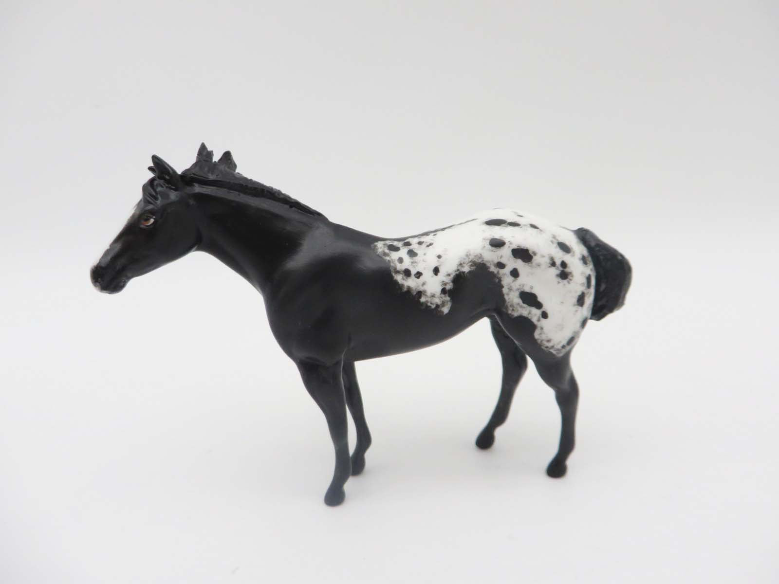 Story -OOAK Black Appaloosa Custom Stock Horse Chip By Andrea Thomason SHCF23
