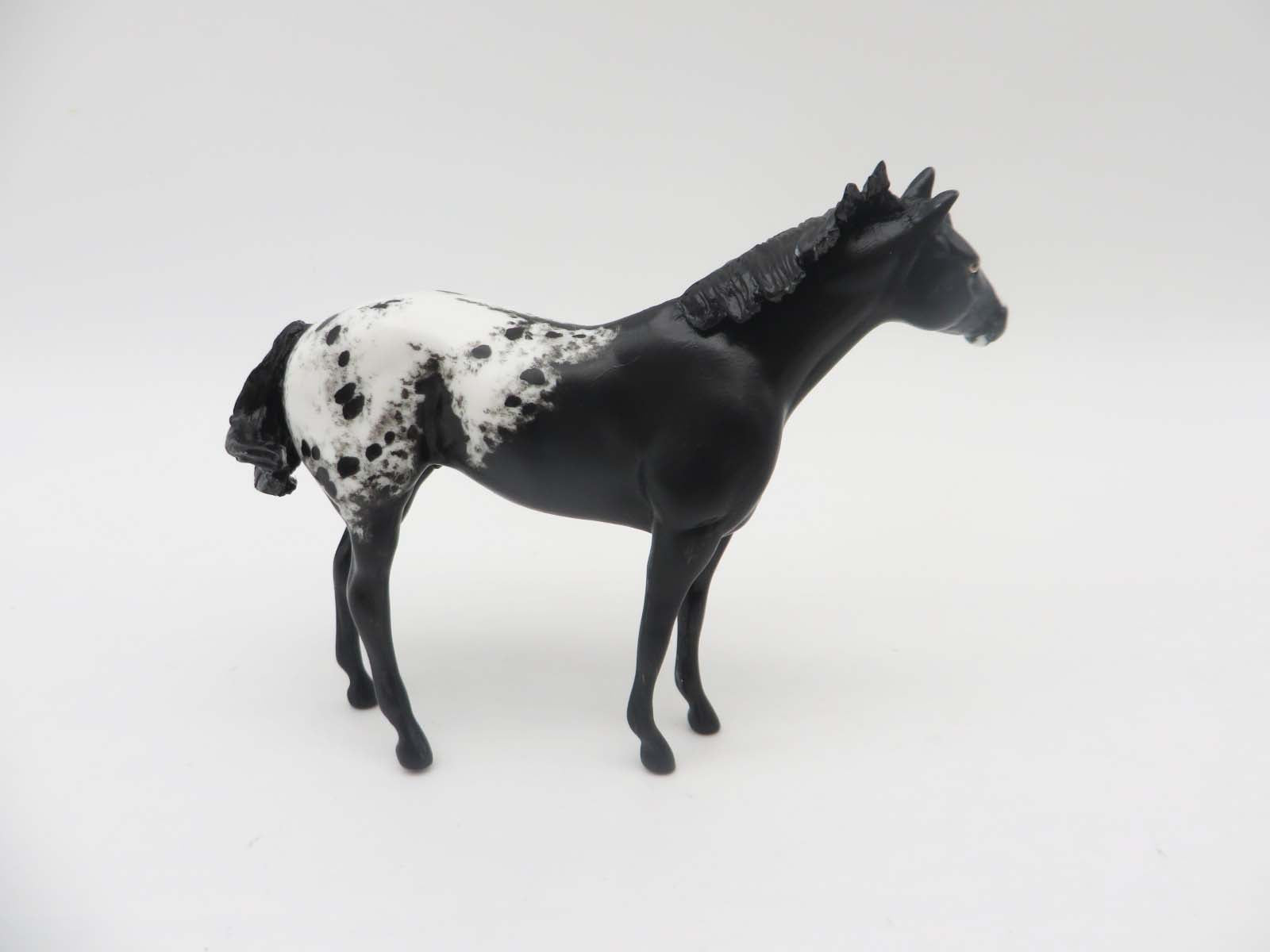 Story -OOAK Black Appaloosa Custom Stock Horse Chip By Andrea Thomason SHCF23