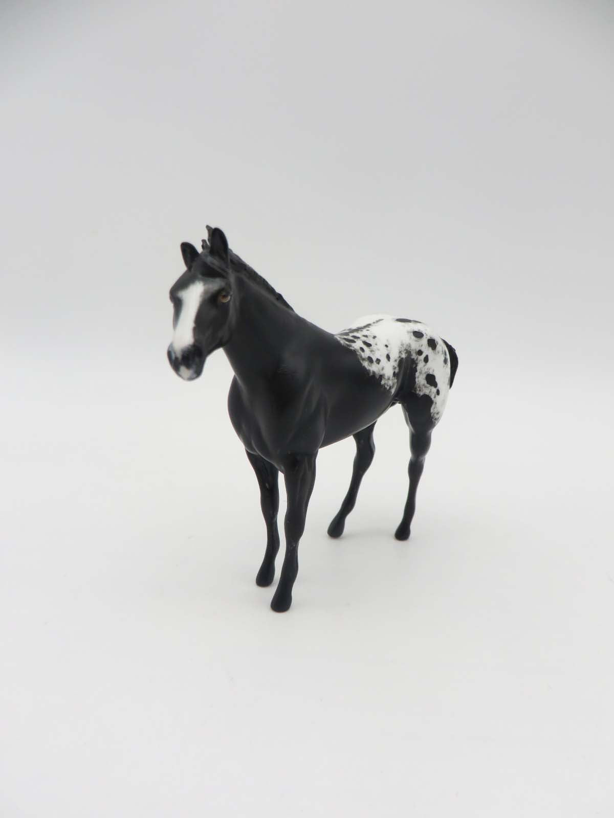 Story -OOAK Black Appaloosa Custom Stock Horse Chip By Andrea Thomason SHCF23