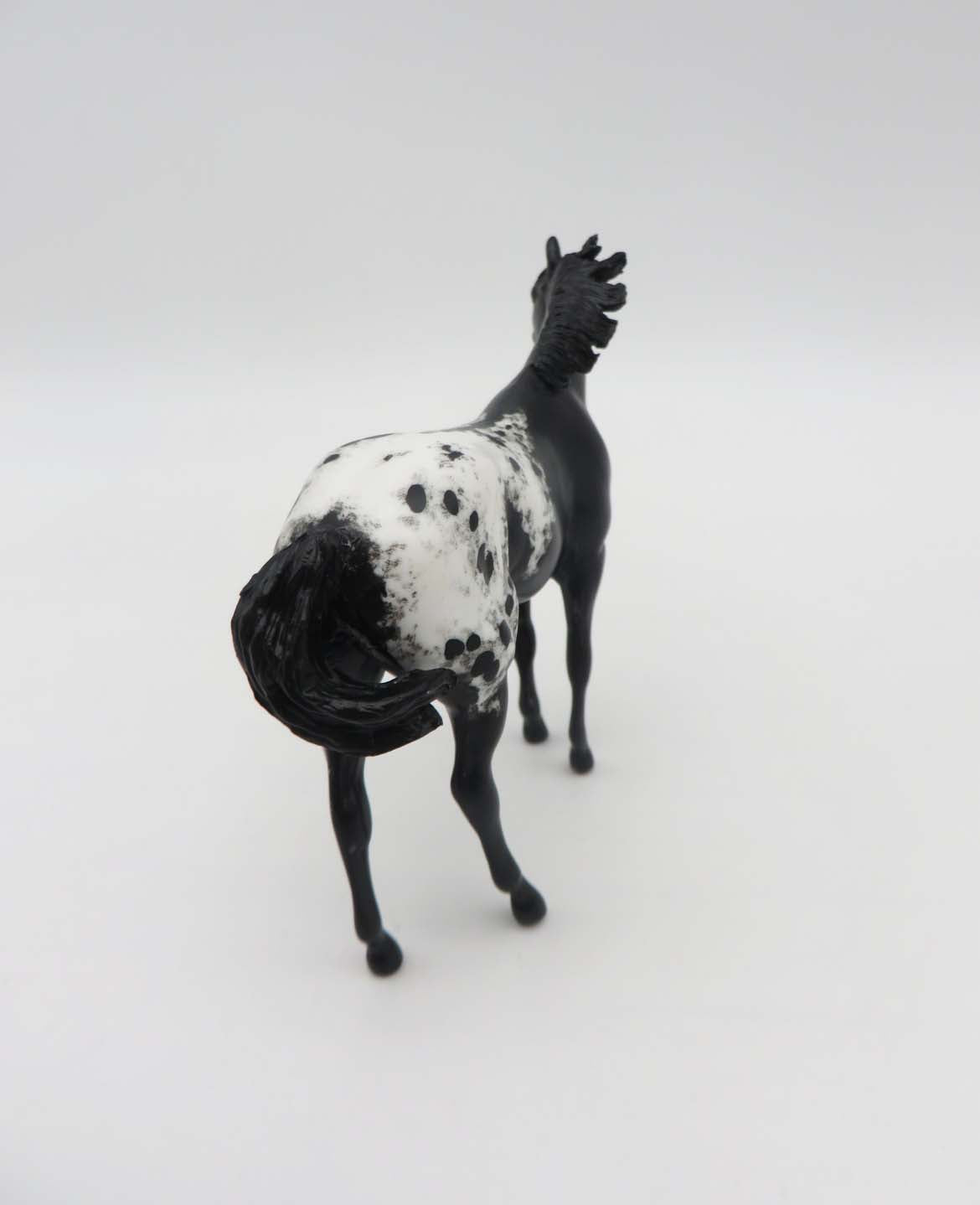 Story -OOAK Black Appaloosa Custom Stock Horse Chip By Andrea Thomason SHCF23