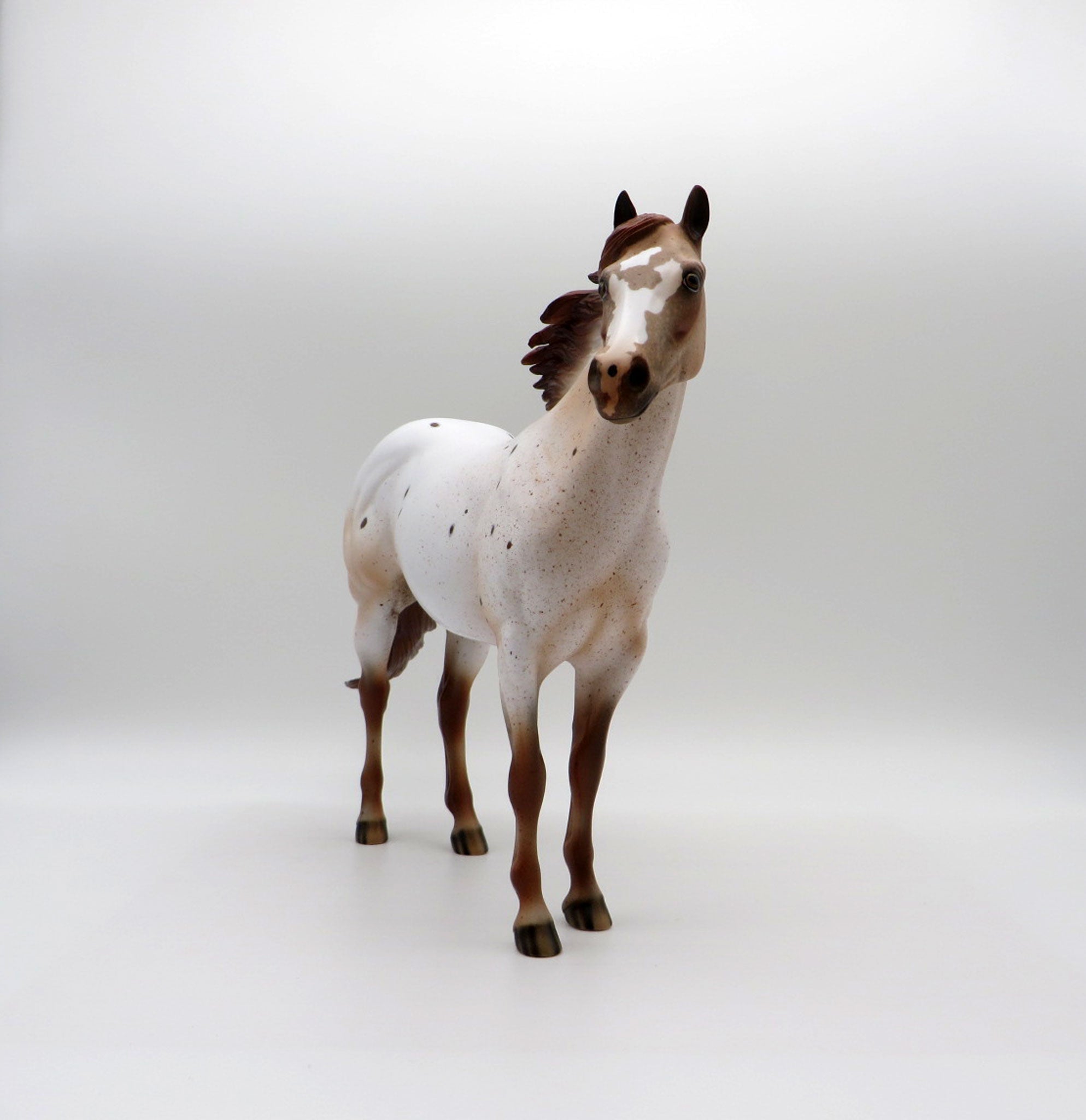 Stratus-LE-15  CUSTOM APPALOOSA ISH SHCF 2021