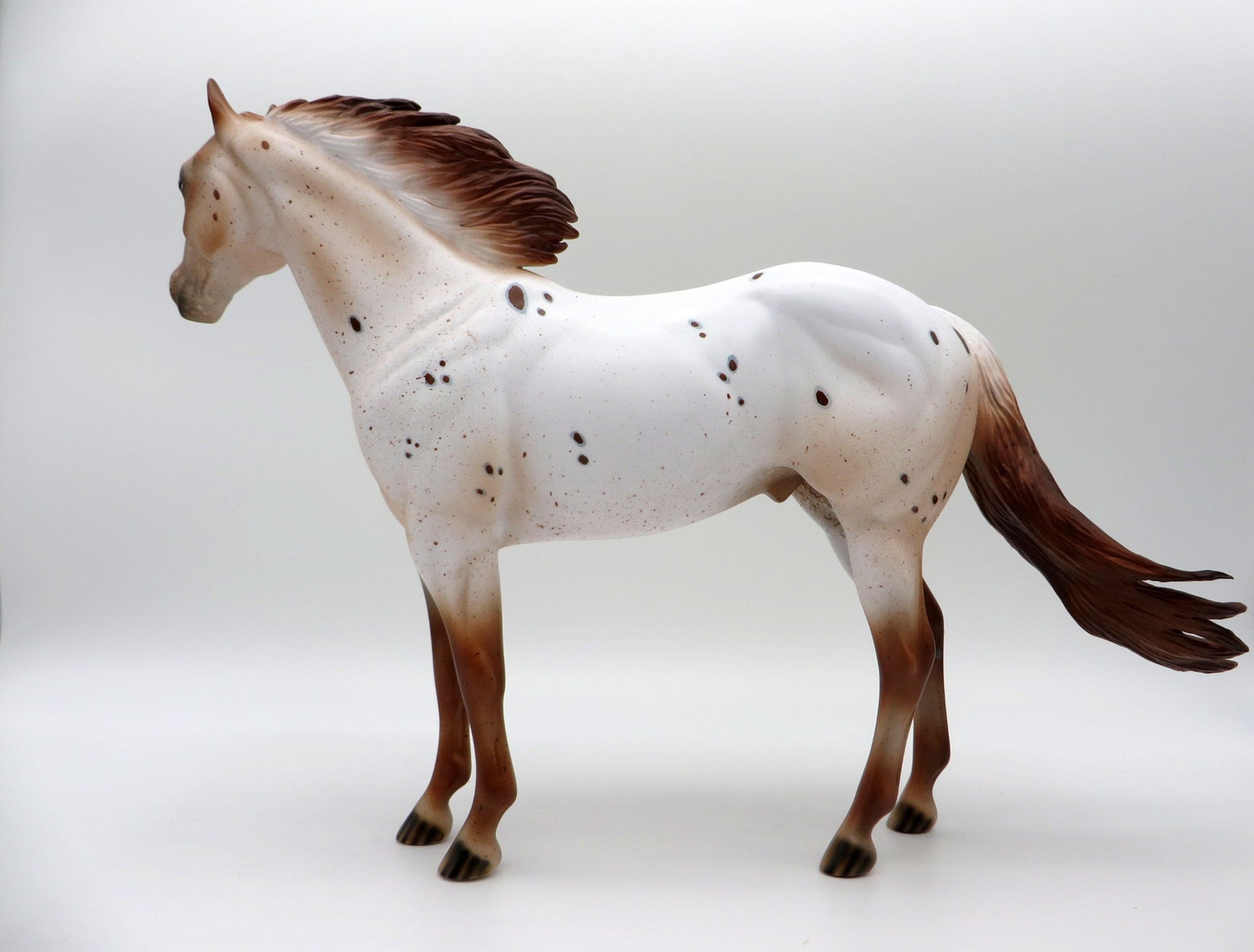 Stratus-LE-15  CUSTOM APPALOOSA ISH SHCF 2021