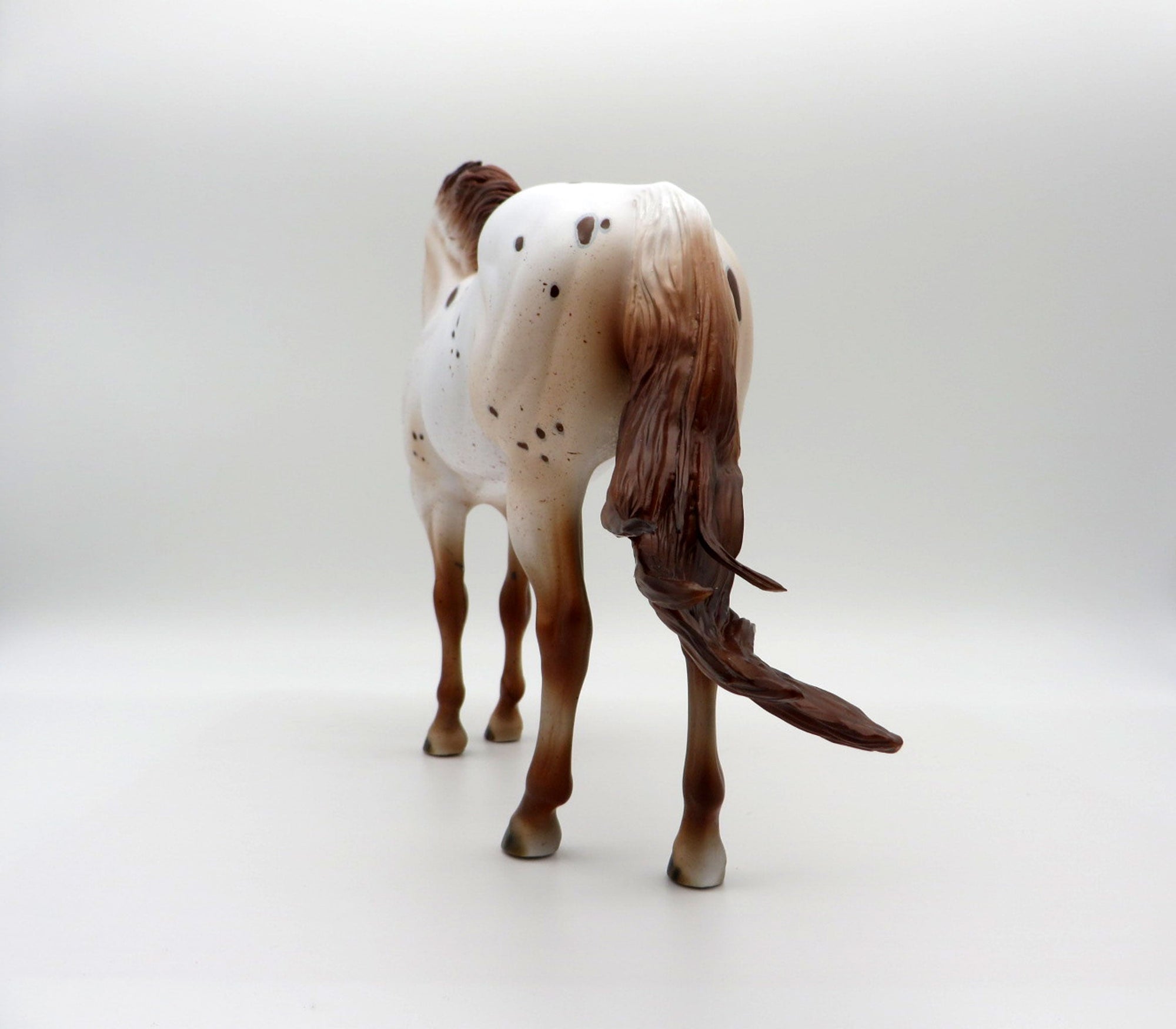 Stratus-LE-15  CUSTOM APPALOOSA ISH SHCF 2021