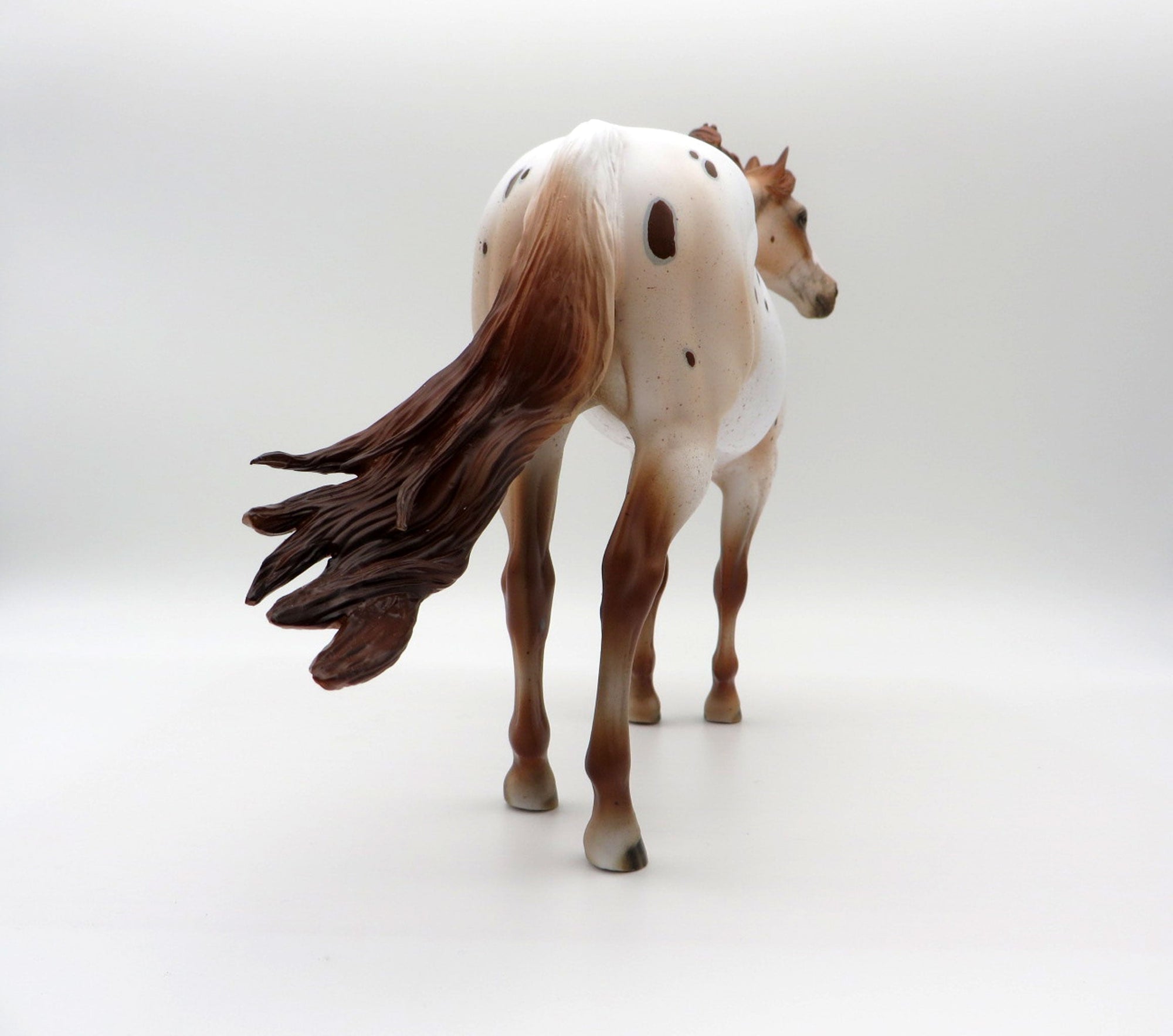 Stratus-LE-15  CUSTOM APPALOOSA ISH SHCF 2021