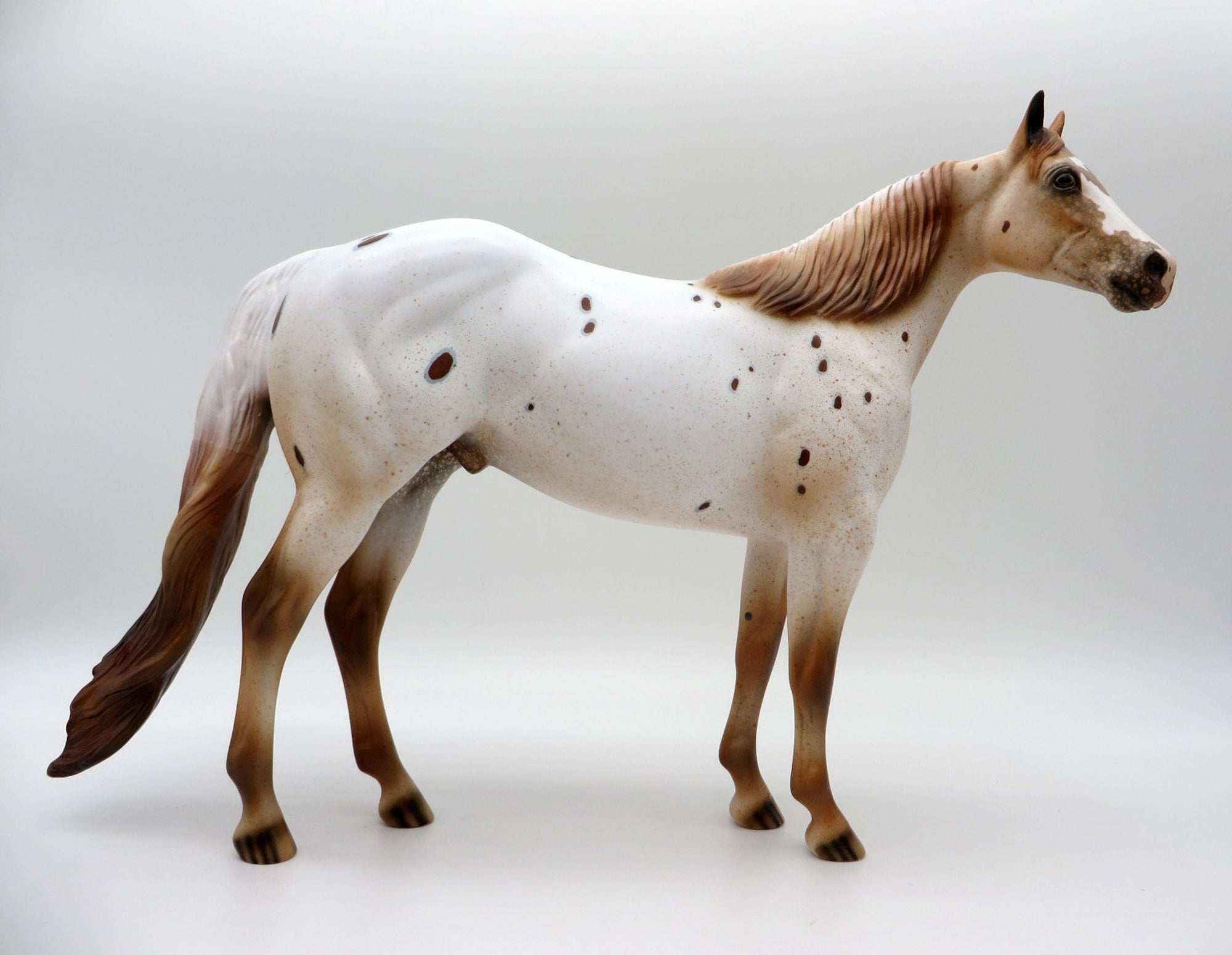 Stratus-LE-15 NON CUSTOM APPALOOSA ISH SHCF 2021