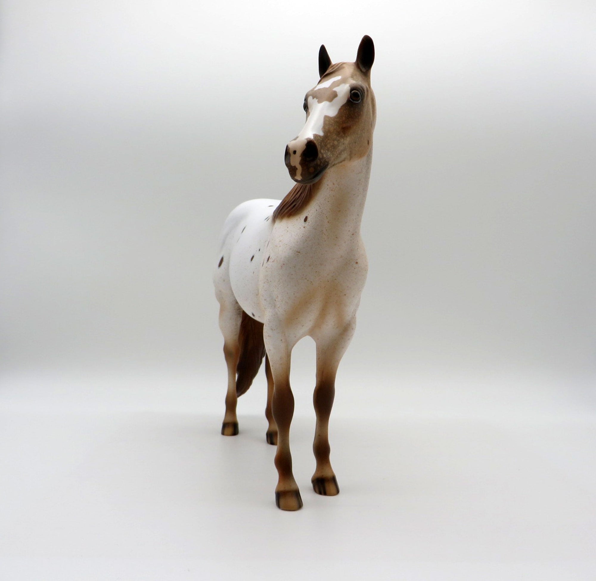 Stratus-LE-15 NON CUSTOM APPALOOSA ISH SHCF 2021