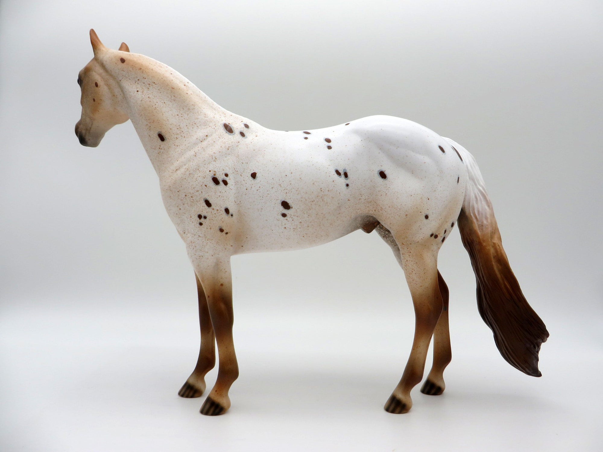 Stratus-LE-15 NON CUSTOM APPALOOSA ISH SHCF 2021