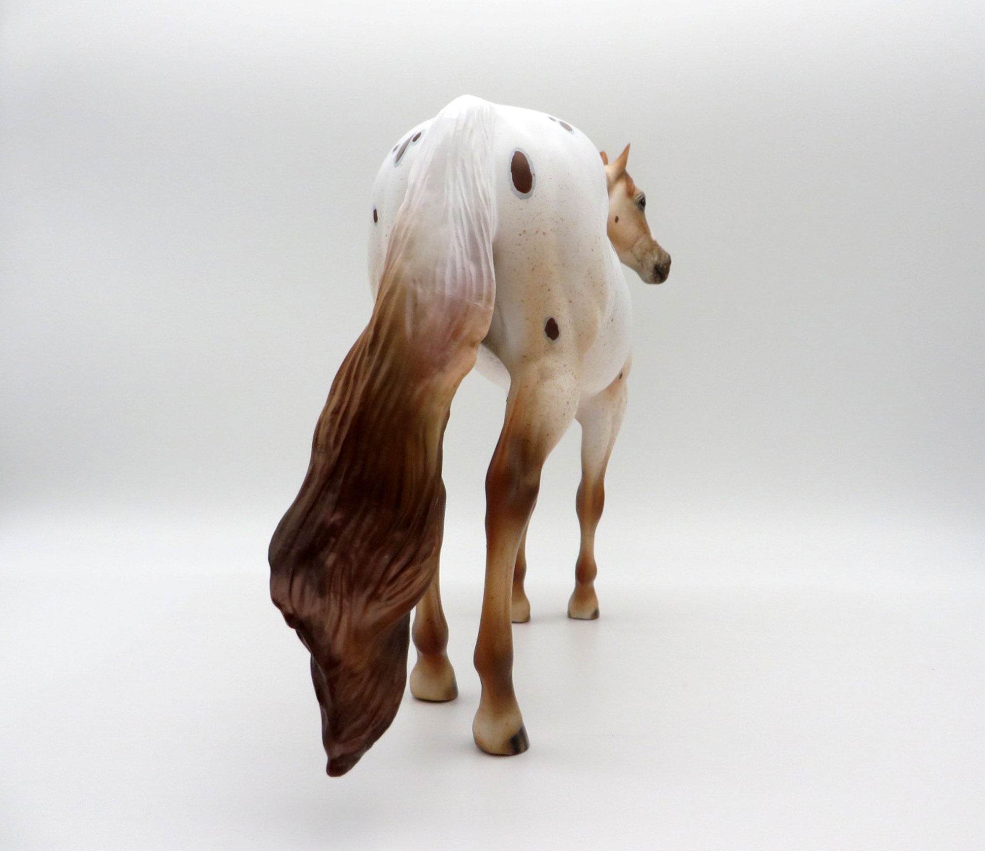 Stratus-LE-15 NON CUSTOM APPALOOSA ISH SHCF 2021