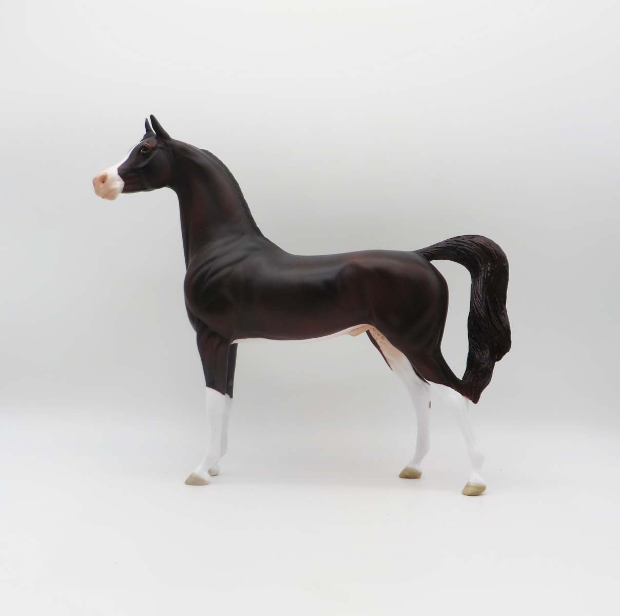 Strauss - OOAK - Liver Chestnut Arabian Border Collie Inspired by Angela Marleau P&C 23
