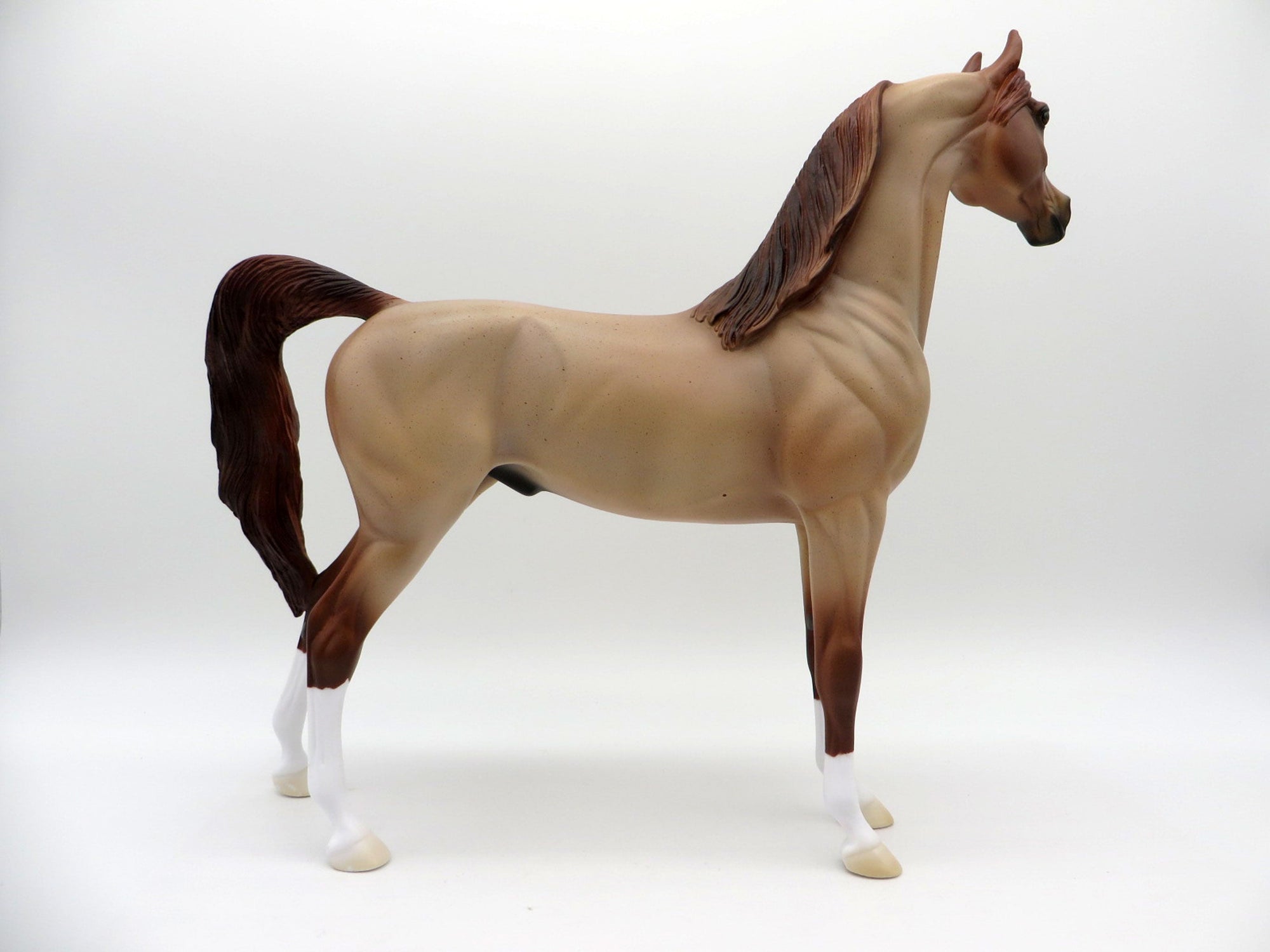 Strawberry Fields-OOAK Strawberry Roan Arabian  Equilocity 2021 Painted by Audrey Dixon