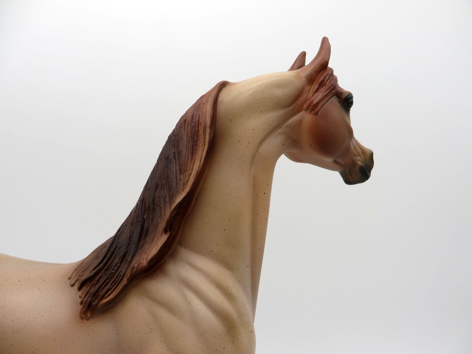 Strawberry Fields-OOAK Strawberry Roan Arabian  Equilocity 2021 Painted by Audrey Dixon