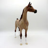 Strawberry Fields-OOAK Strawberry Roan Arabian  Equilocity 2021 Painted by Audrey Dixon