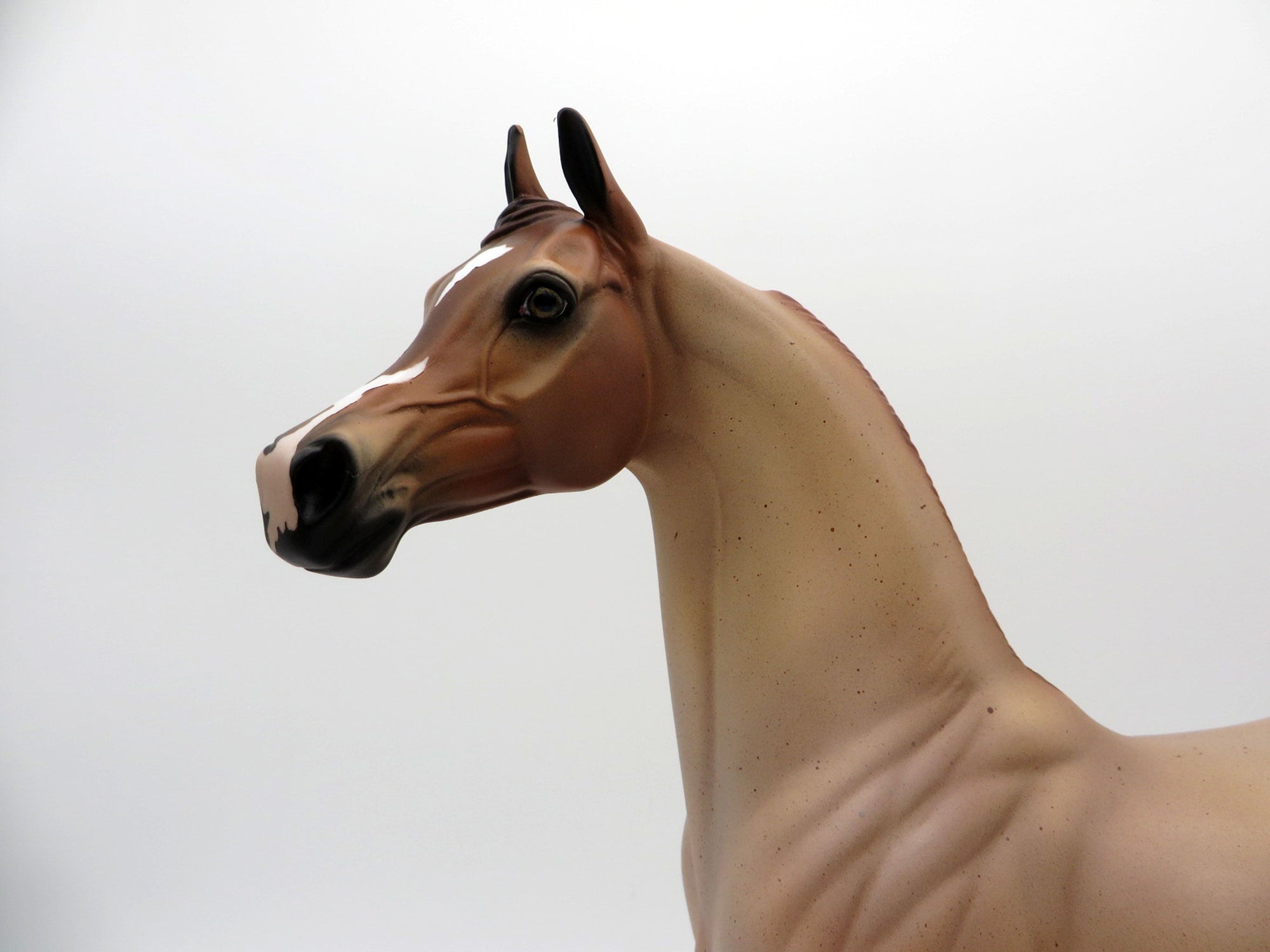 Strawberry Fields-OOAK Strawberry Roan Arabian  Equilocity 2021 Painted by Audrey Dixon