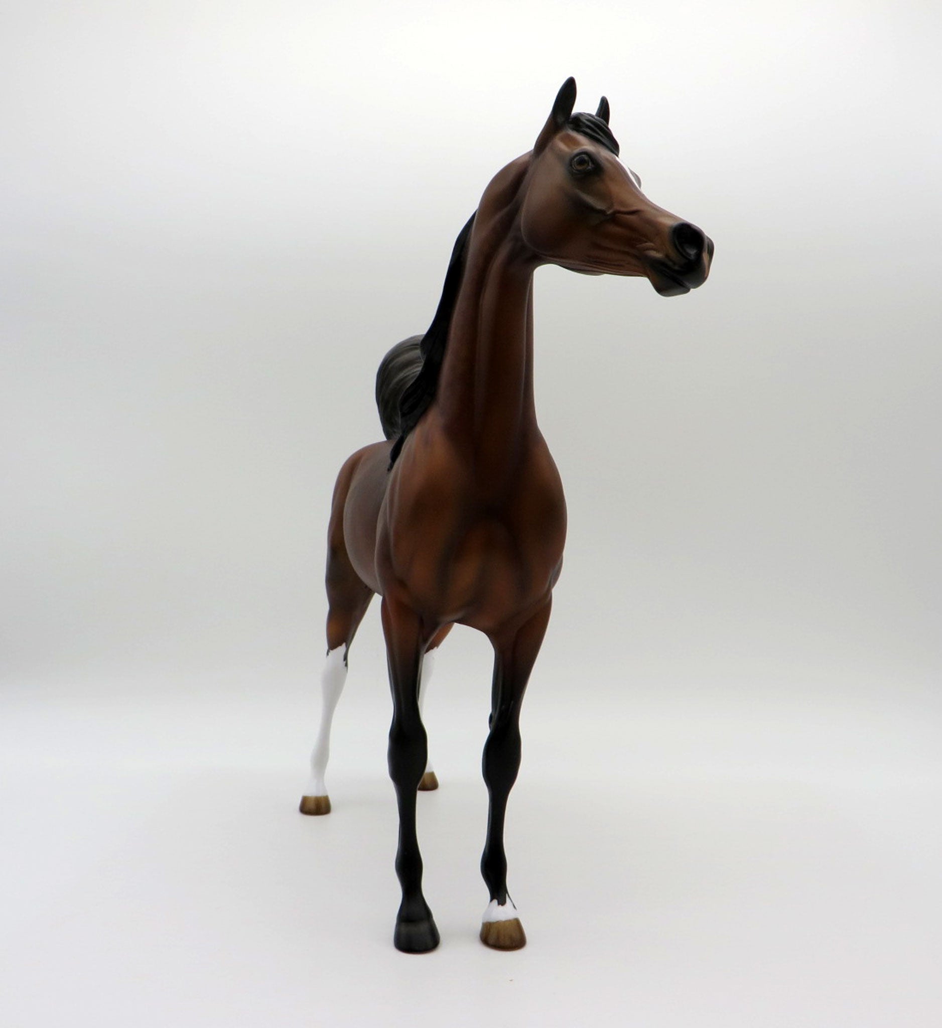 Strawberry Moon-OOAK Dapple Bay Arabian  SHCF 2021