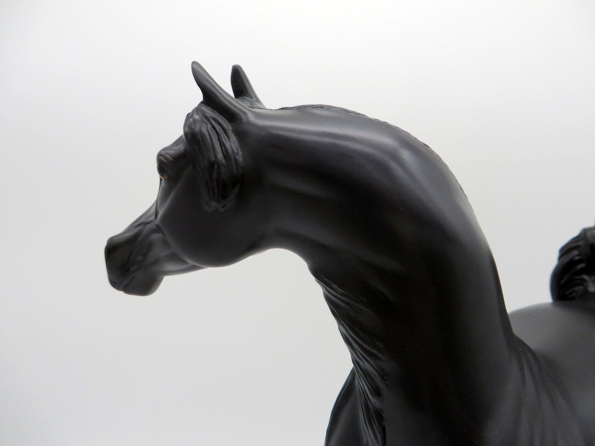 Strickland-OOAK Dapple Black Arabian Painted by Caroline Boydston EQ 21