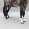 Stuart OOAK Dappled Grey Morgan By Sheryl Leisure Best Offers 6/12/23