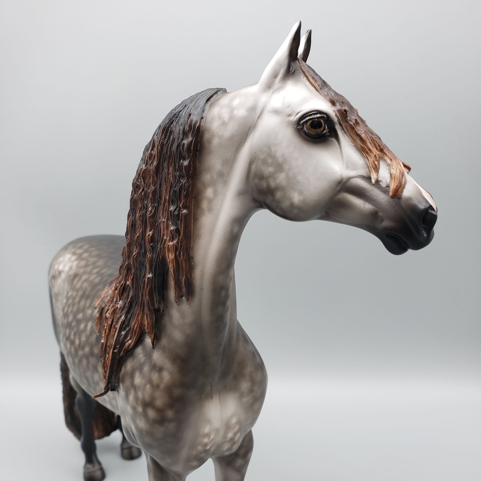 Stuart OOAK Dappled Grey Morgan By Sheryl Leisure Best Offers 6/12/23