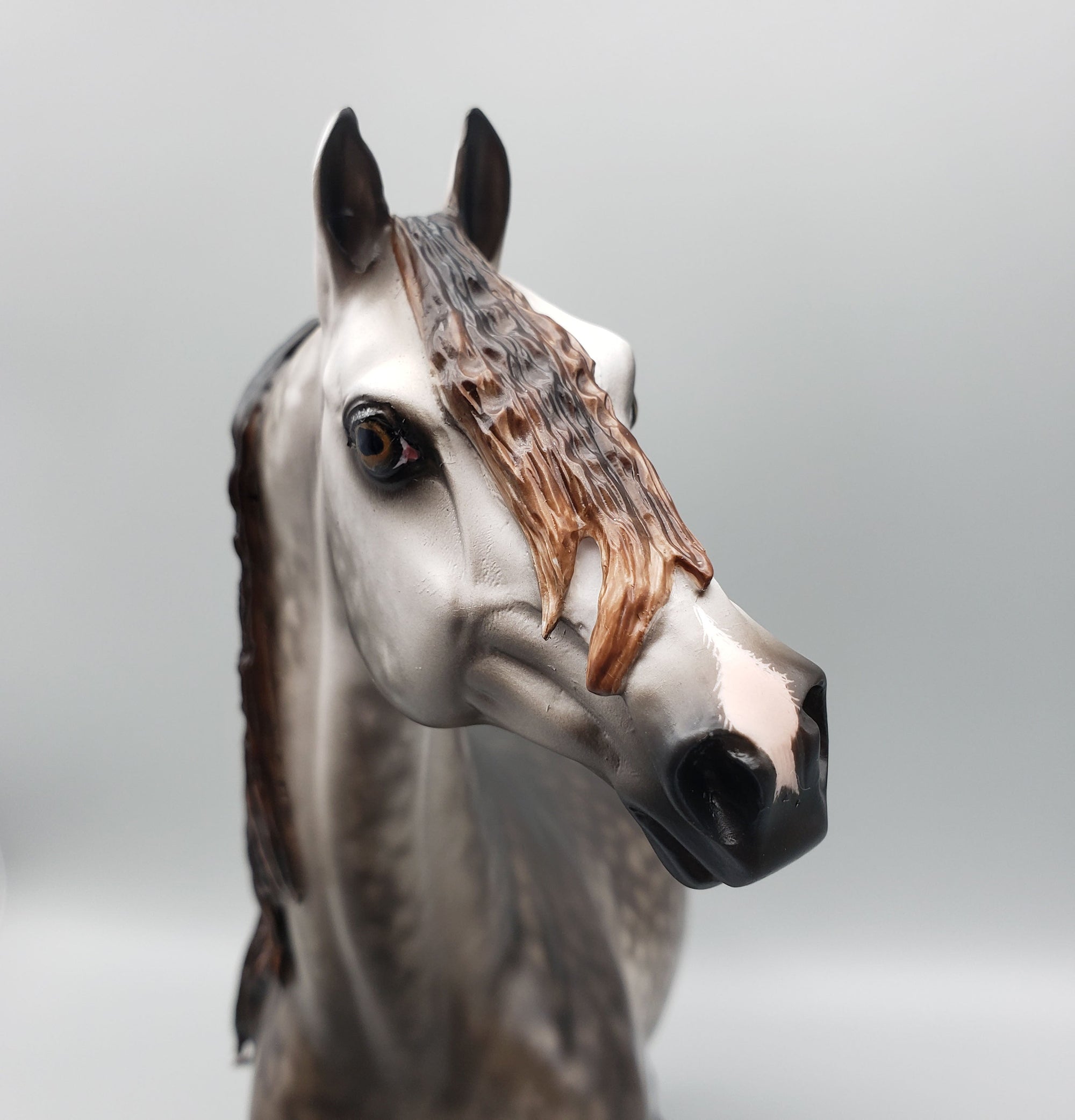 Stuart OOAK Dappled Grey Morgan By Sheryl Leisure Best Offers 6/12/23