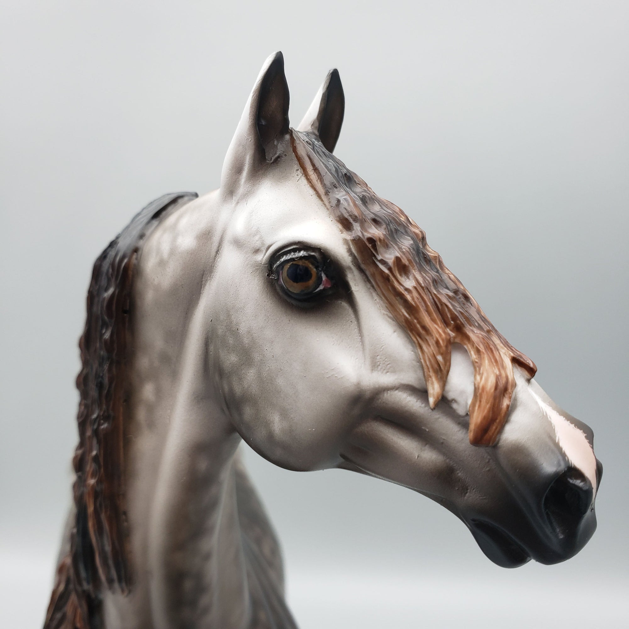 Stuart OOAK Dappled Grey Morgan By Sheryl Leisure Best Offers 6/12/23