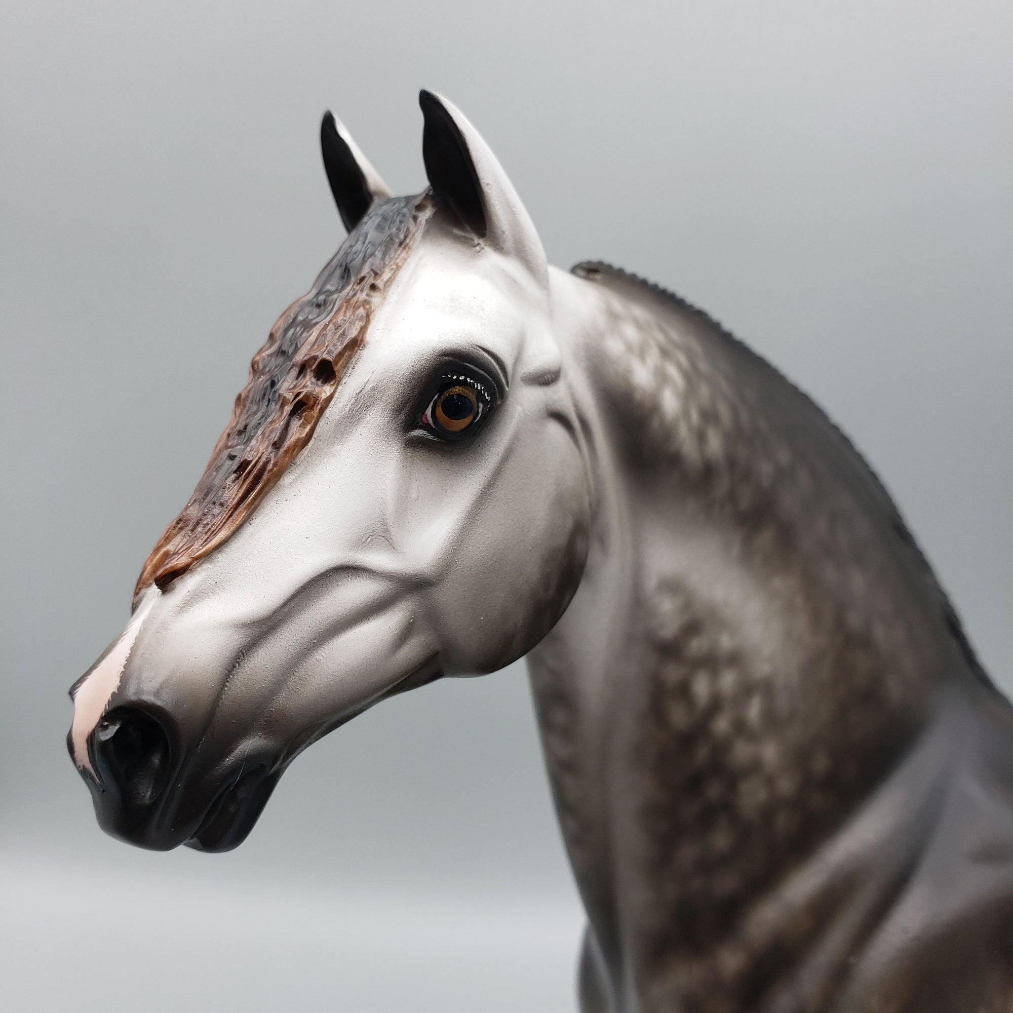 Stuart OOAK Dappled Grey Morgan By Sheryl Leisure Best Offers 6/12/23