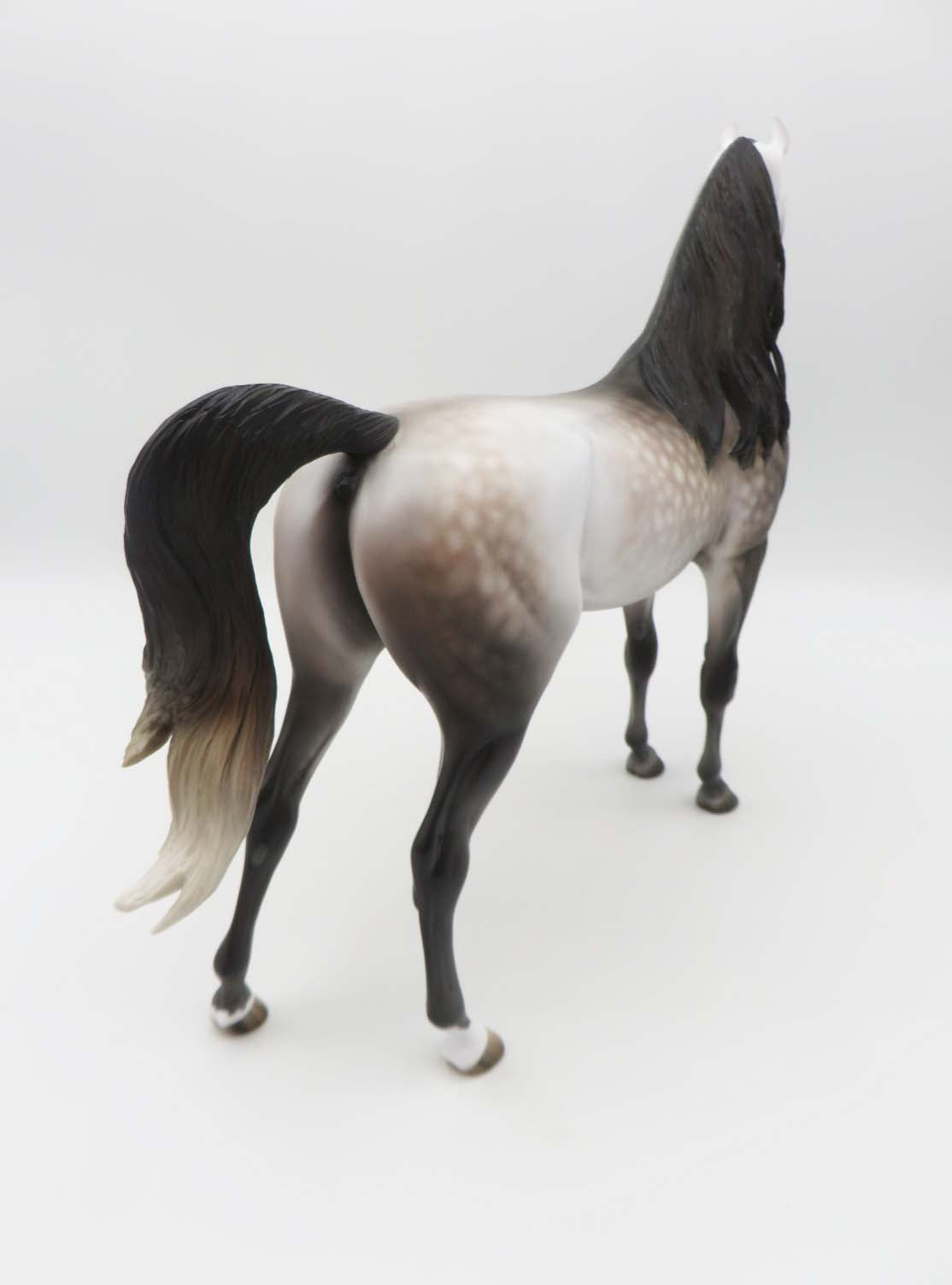 Subtle Sovereign - OOAK - Dappled Rose Grey Arabian By Jess Hamill - Best Offers 4/3/23
