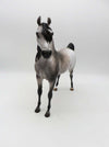 Subtle Sovereign - OOAK - Dappled Rose Grey Arabian By Jess Hamill - Best Offers 4/3/23
