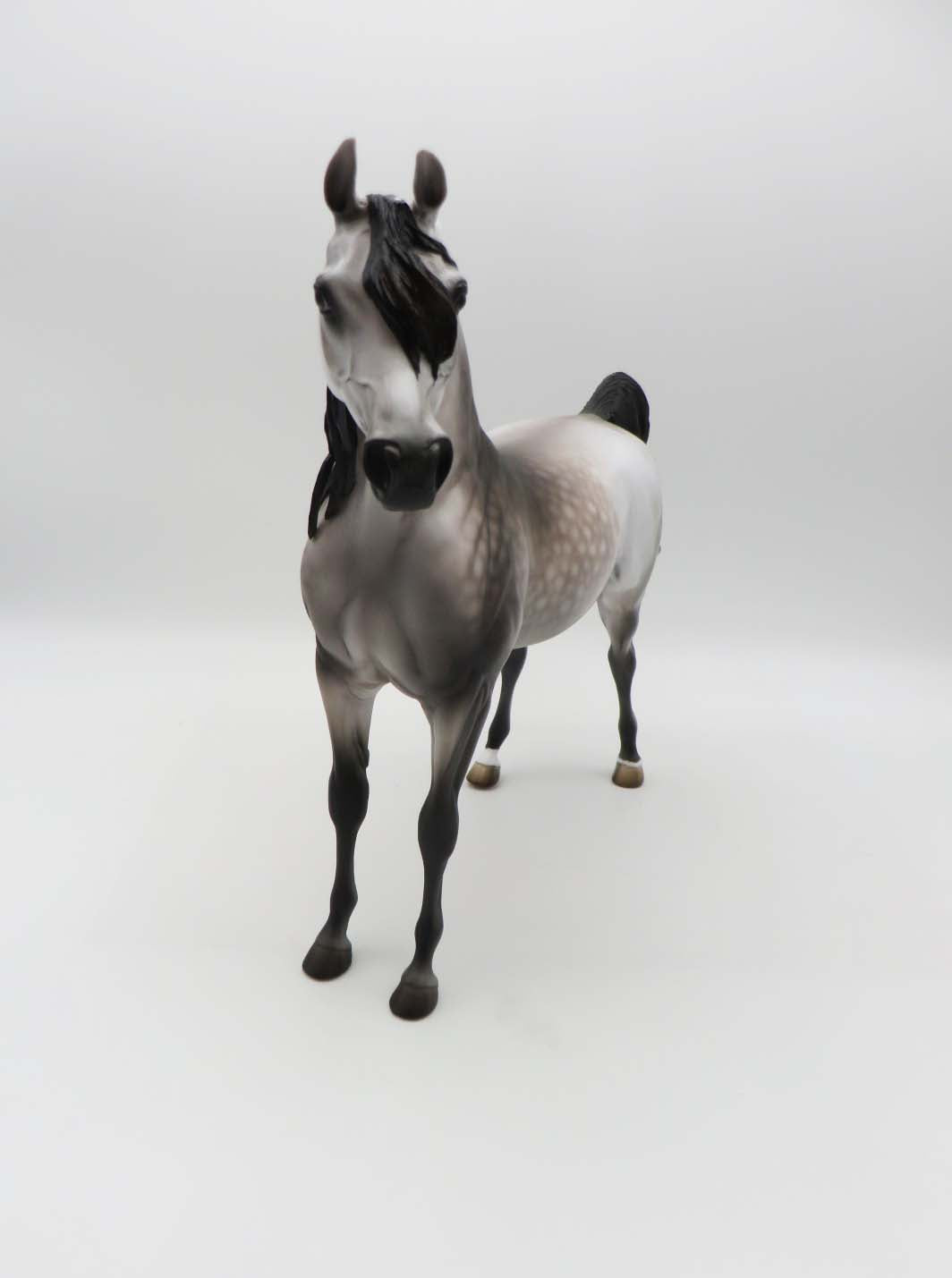 Subtle Sovereign - OOAK - Dappled Rose Grey Arabian By Jess Hamill - Best Offers 4/3/23