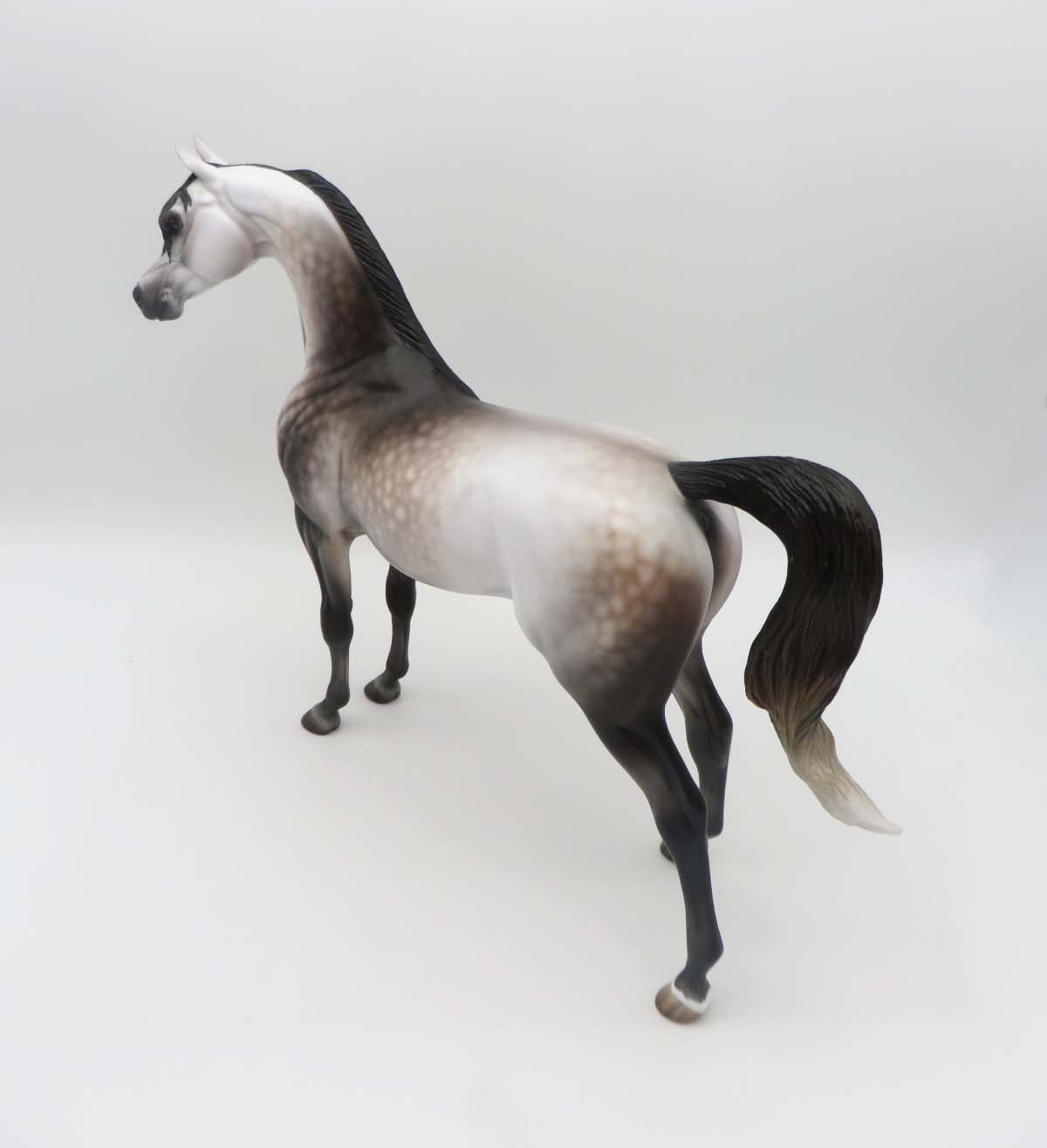 Subtle Sovereign - OOAK - Dappled Rose Grey Arabian By Jess Hamill - Best Offers 4/3/23