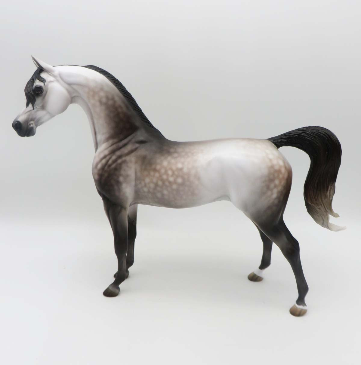 Subtle Sovereign - OOAK - Dappled Rose Grey Arabian By Jess Hamill - Best Offers 4/3/23
