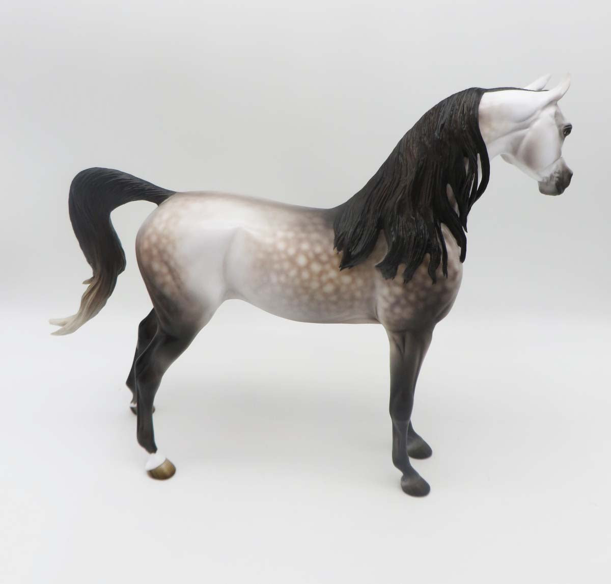 Subtle Sovereign - OOAK - Dappled Rose Grey Arabian By Jess Hamill - Best Offers 4/3/23