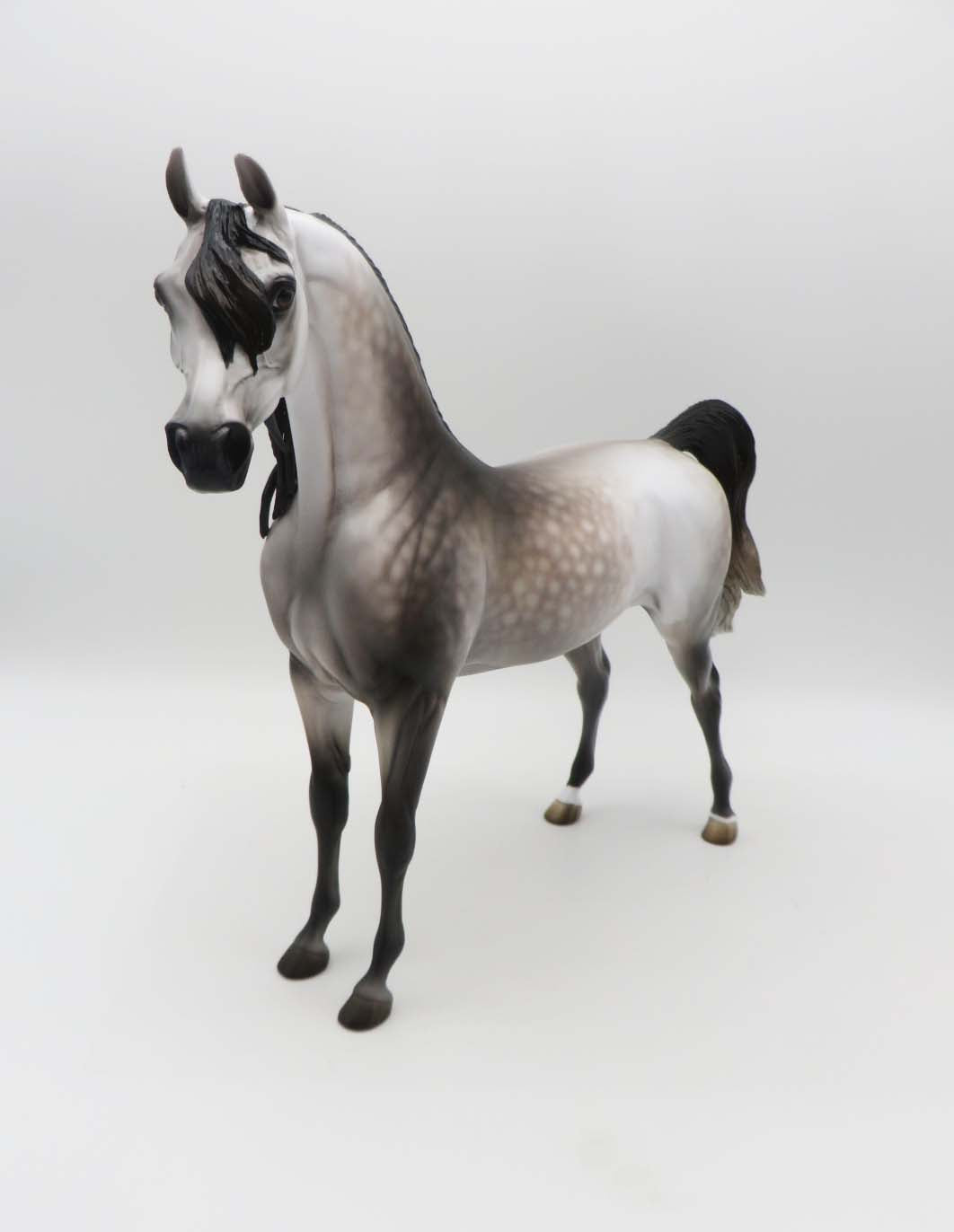 Subtle Sovereign - OOAK - Dappled Rose Grey Arabian By Jess Hamill - Best Offers 4/3/23