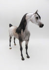 Subtle Sovereign - OOAK - Dappled Rose Grey Arabian By Jess Hamill - Best Offers 4/3/23