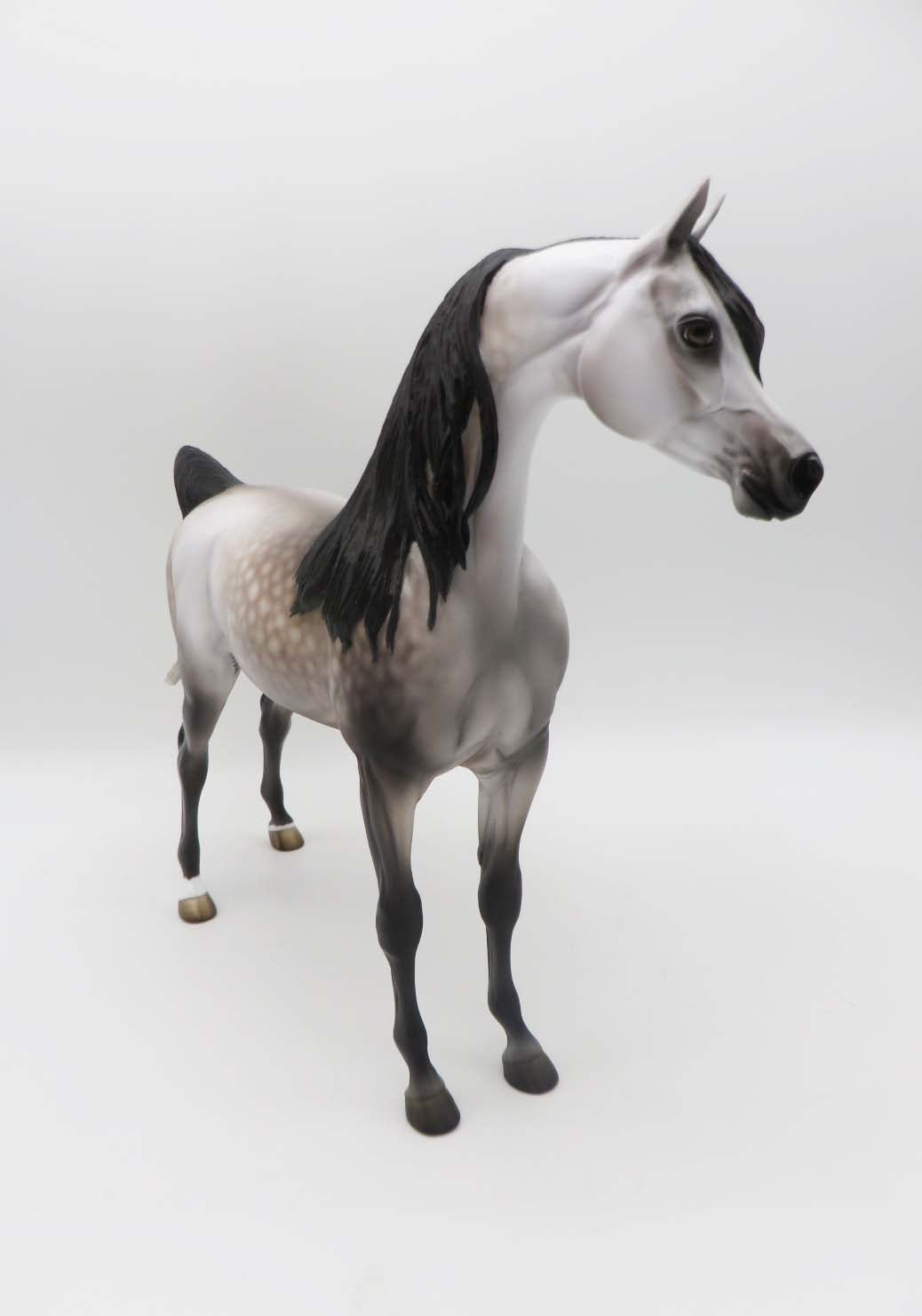 Subtle Sovereign - OOAK - Dappled Rose Grey Arabian By Jess Hamill - Best Offers 4/3/23