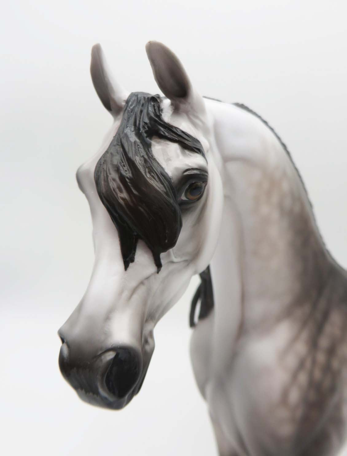Subtle Sovereign - OOAK - Dappled Rose Grey Arabian By Jess Hamill - Best Offers 4/3/23