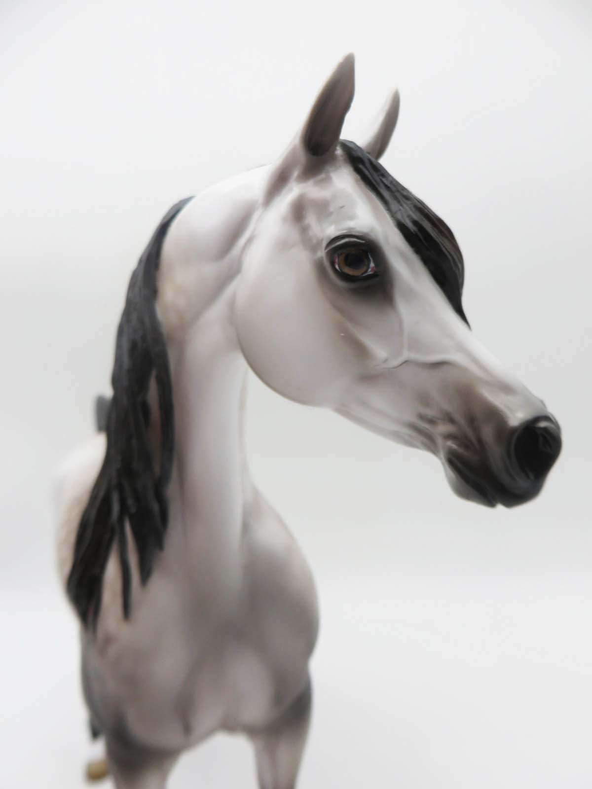 Subtle Sovereign - OOAK - Dappled Rose Grey Arabian By Jess Hamill - Best Offers 4/3/23