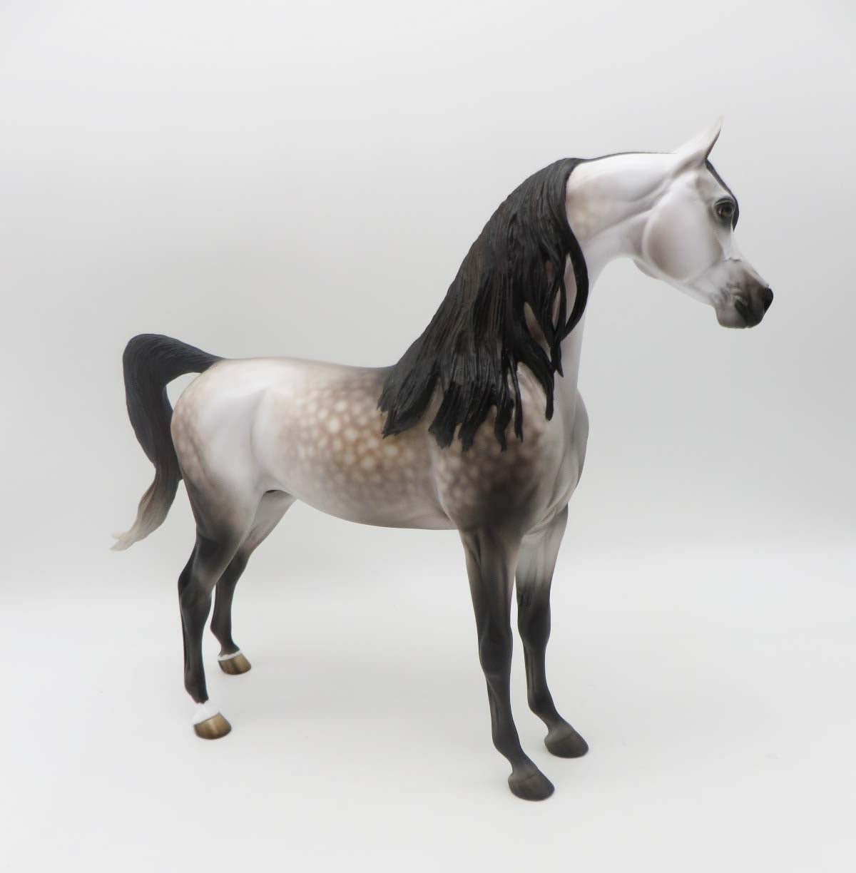 Subtle Sovereign - OOAK - Dappled Rose Grey Arabian By Jess Hamill - Best Offers 4/3/23