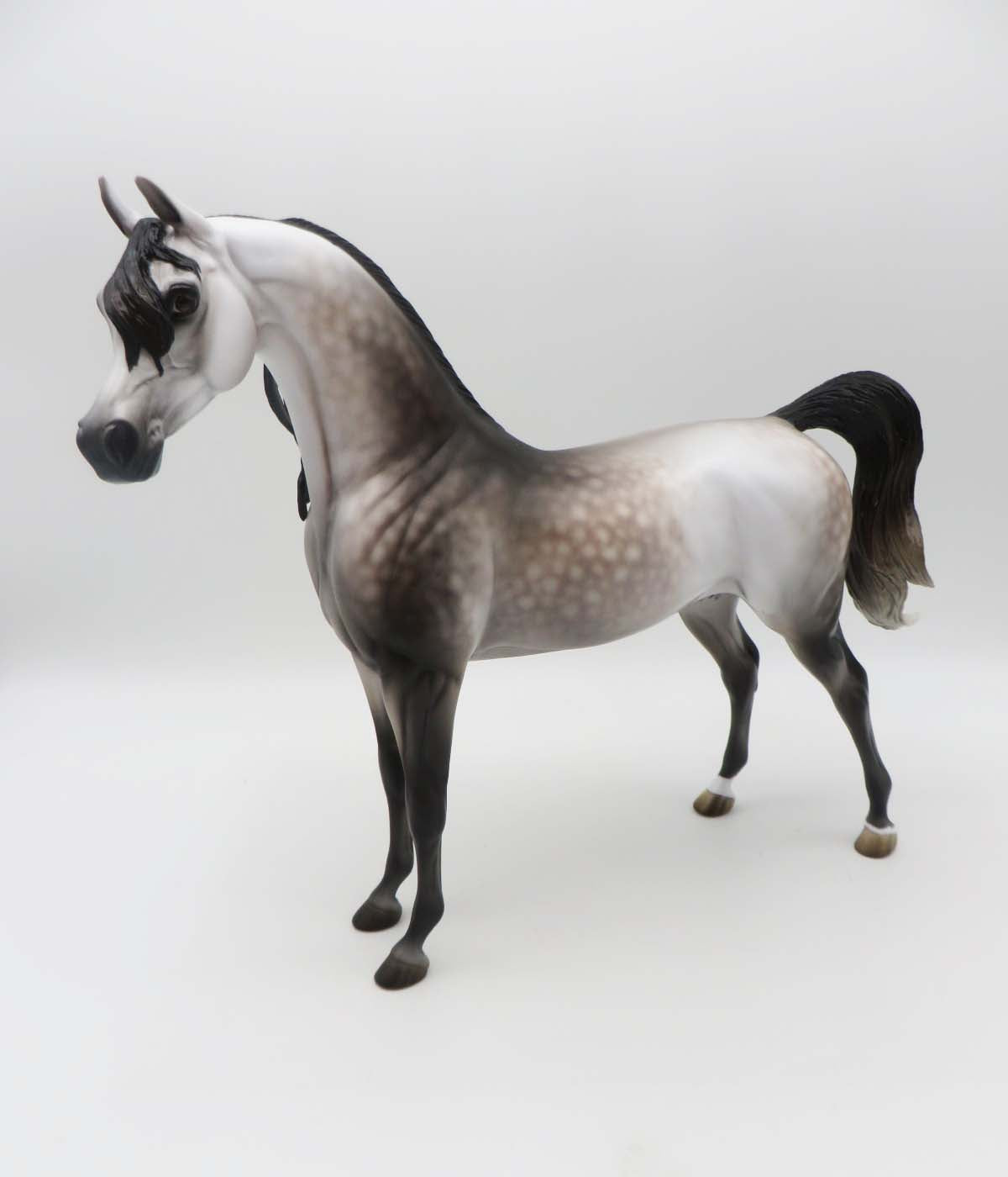 Subtle Sovereign - OOAK - Dappled Rose Grey Arabian By Jess Hamill - Best Offers 4/3/23