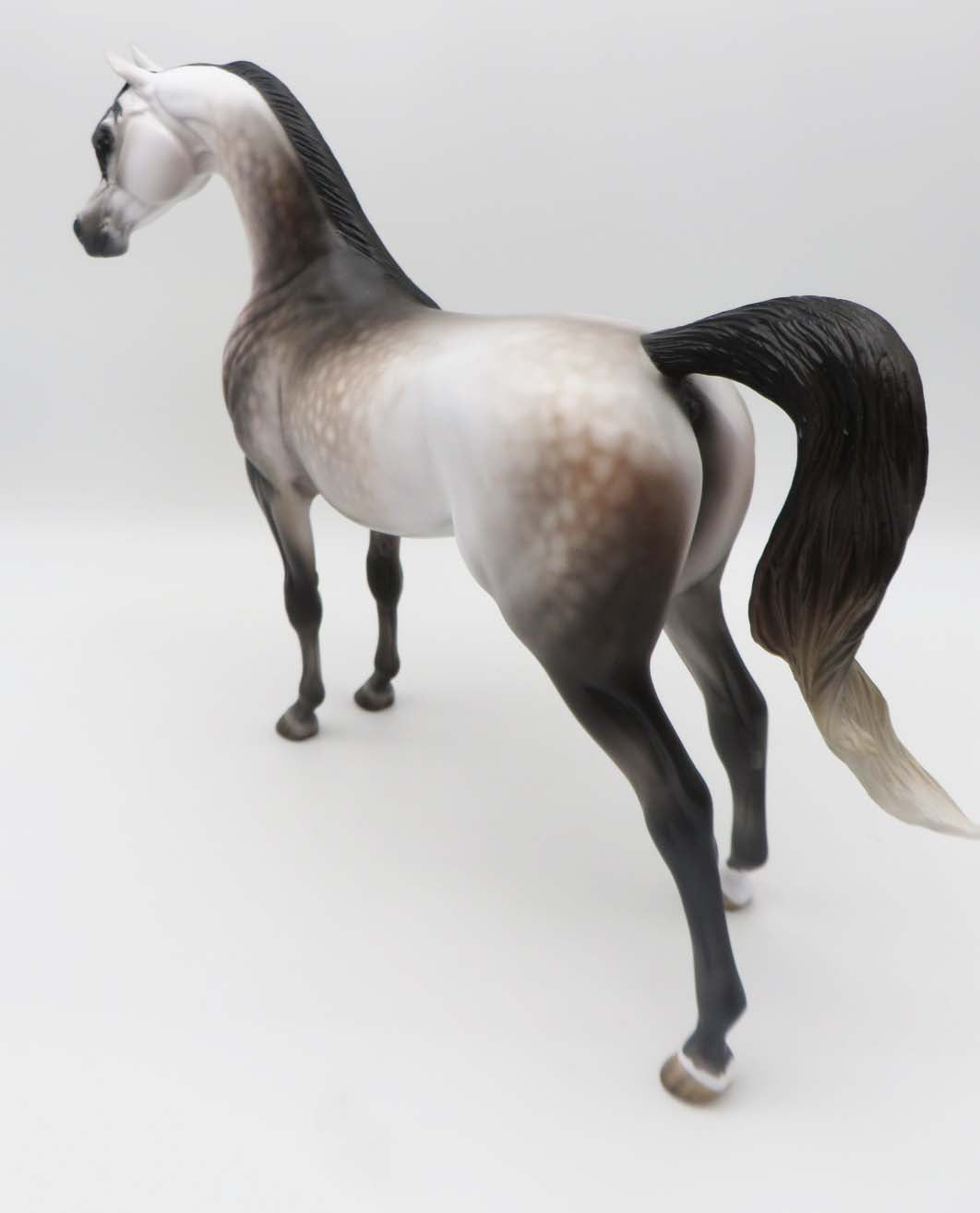 Subtle Sovereign - OOAK - Dappled Rose Grey Arabian By Jess Hamill - Best Offers 4/3/23