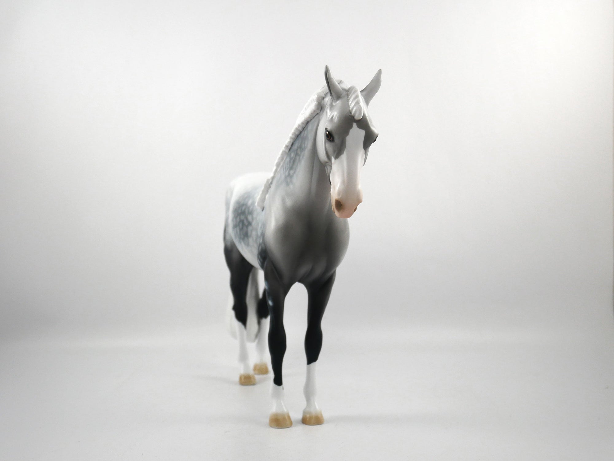 Sudden Impact-OOAK Star Dapple Grey Andalusian SB 21