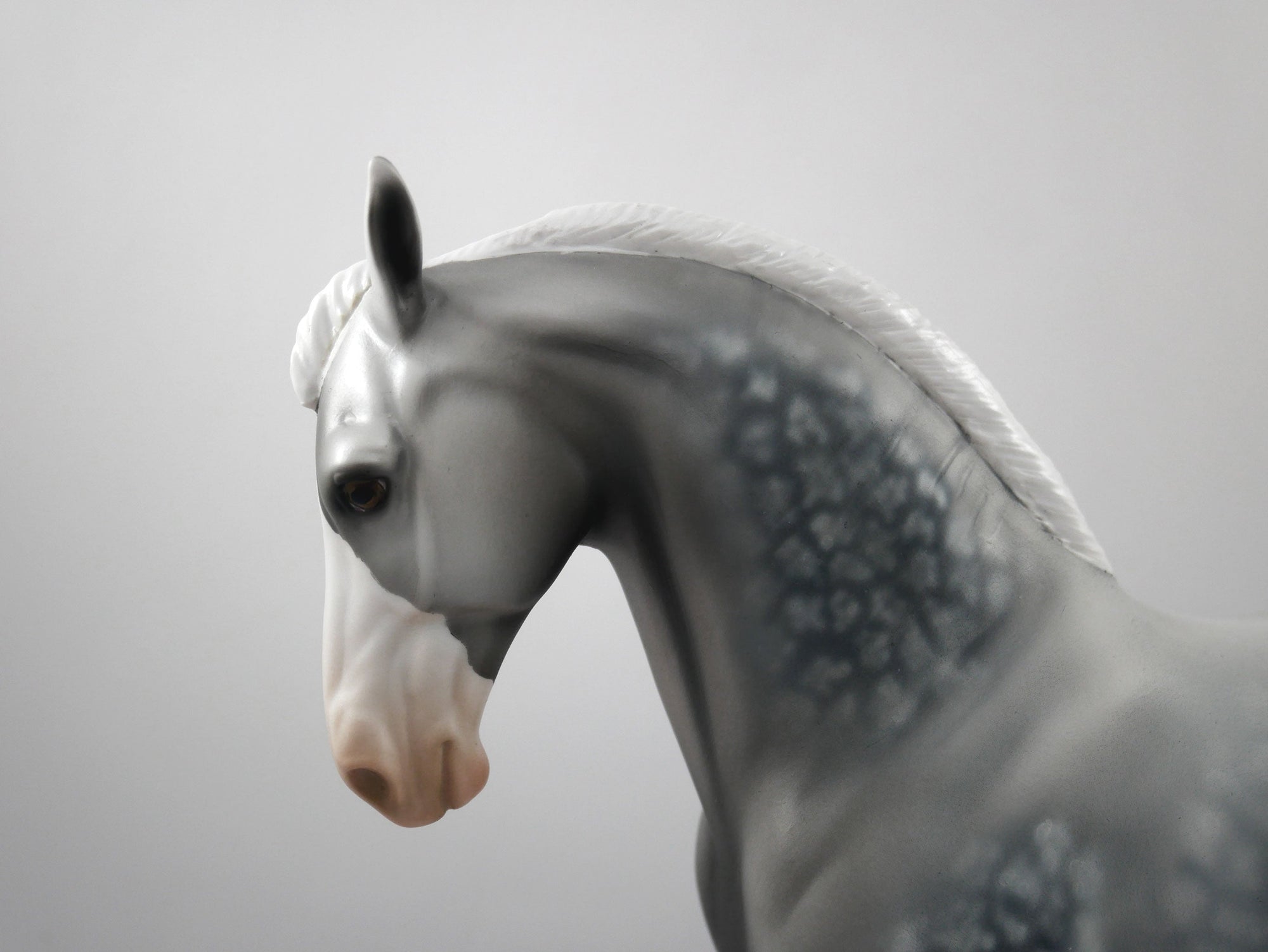 Sudden Impact-OOAK Star Dapple Grey Andalusian SB 21