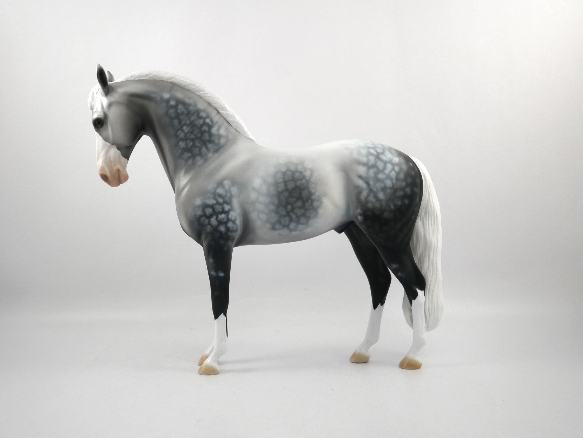 Sudden Impact-OOAK Star Dapple Grey Andalusian SB 21