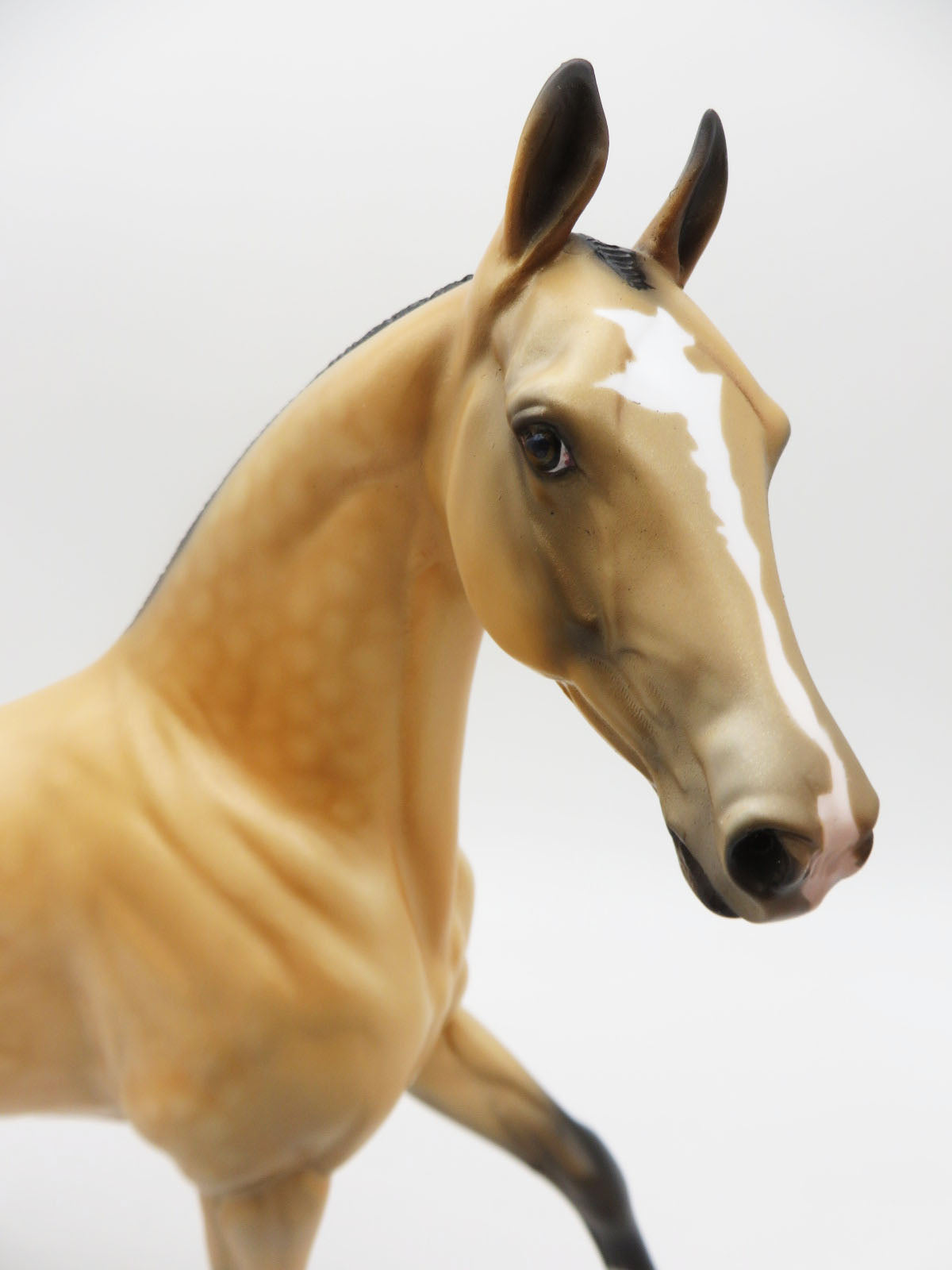 Suede-OOAK Buckskin Arabian Mare By Dawn Quick P&amp;C 23