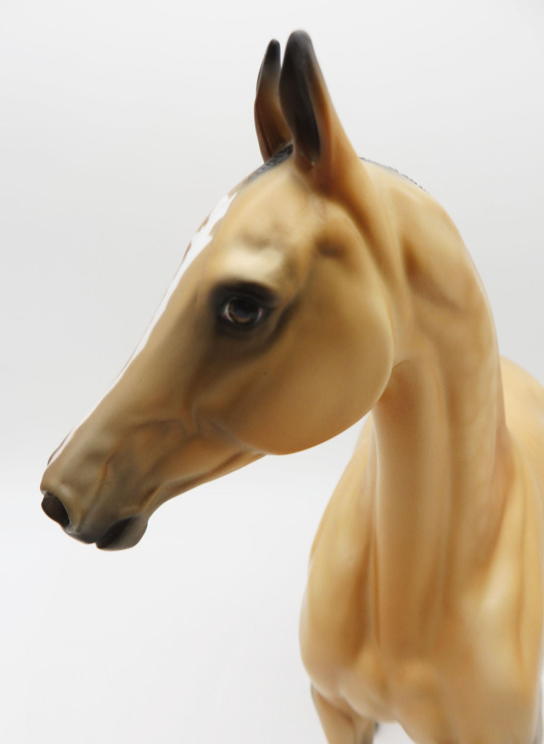 Suede-OOAK Buckskin Arabian Mare By Dawn Quick P&amp;C 23