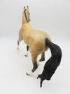 Suede-OOAK Buckskin Arabian Mare By Dawn Quick P&amp;C 23
