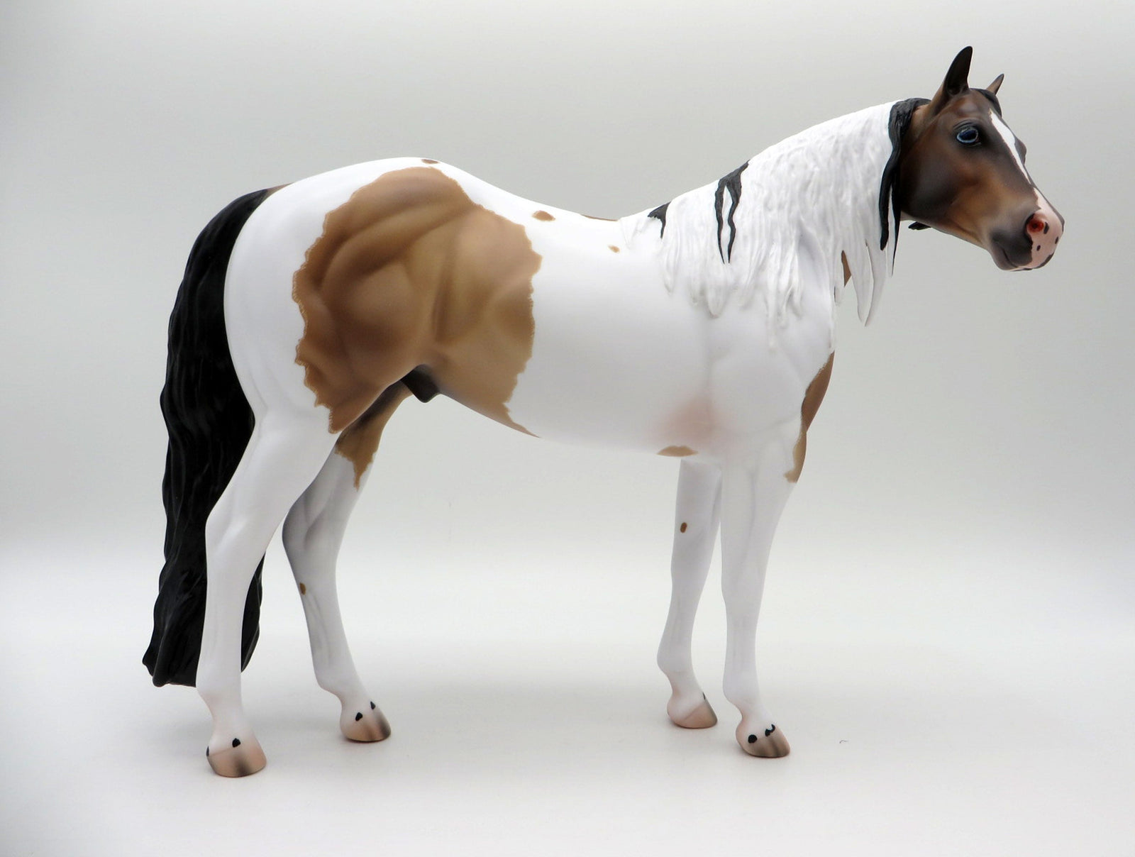 Seuz-OOAL Bay Pinto ISH Painted By Caroline Boydston 5/10/21