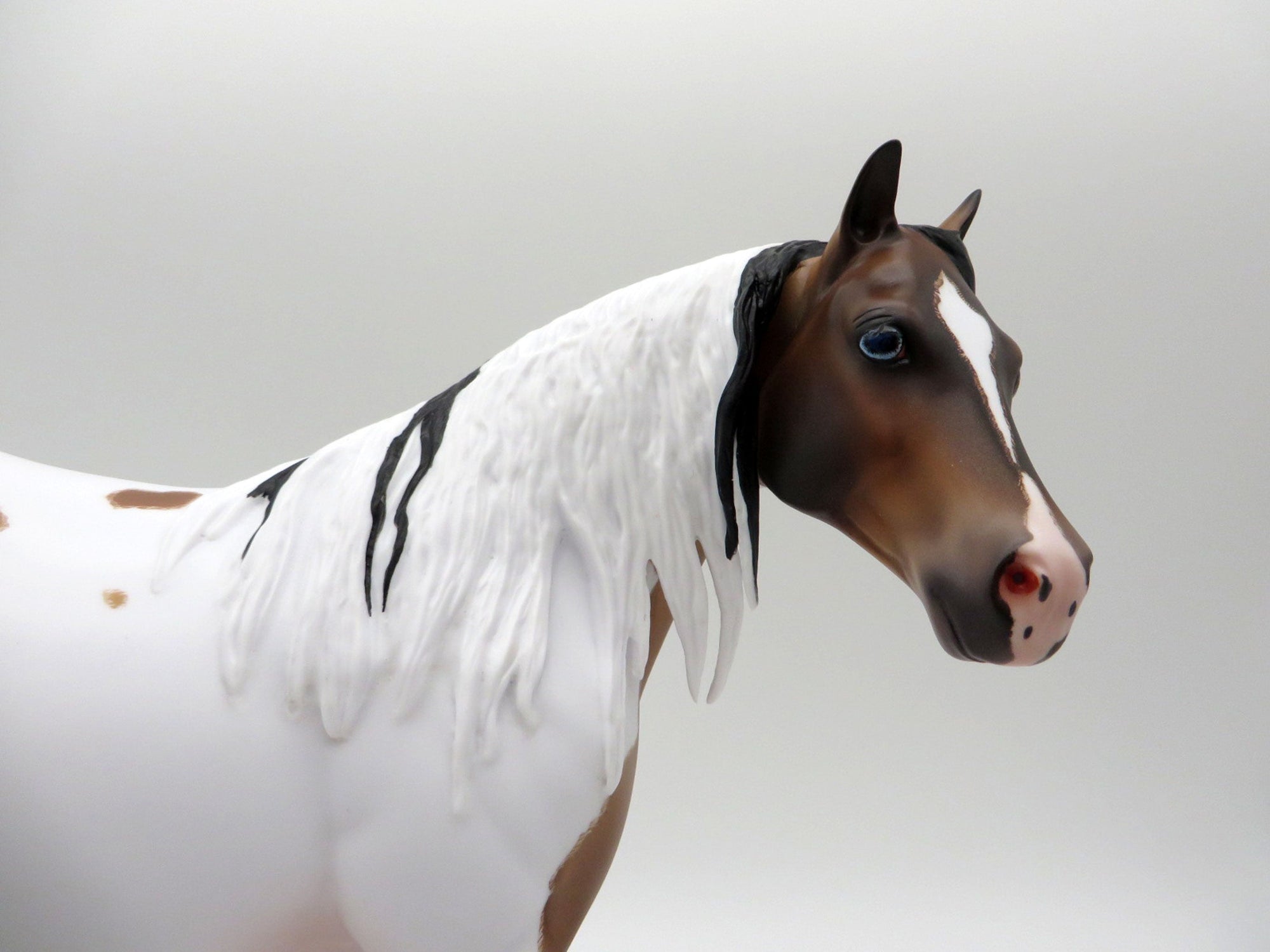 Seuz-OOAL Bay Pinto ISH Painted By Caroline Boydston 5/10/21