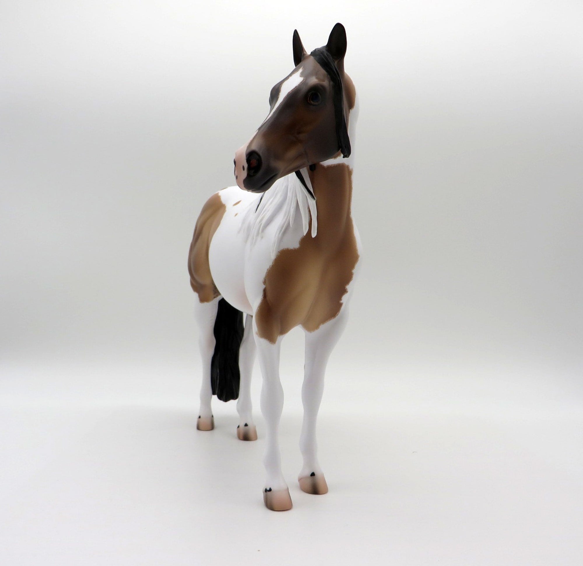 Seuz-OOAL Bay Pinto ISH Painted By Caroline Boydston 5/10/21