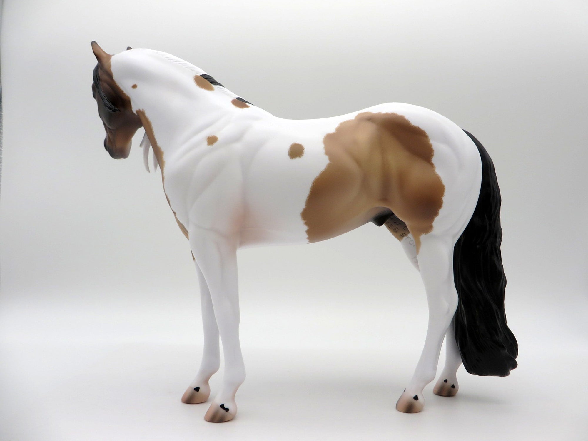 Seuz-OOAL Bay Pinto ISH Painted By Caroline Boydston 5/10/21