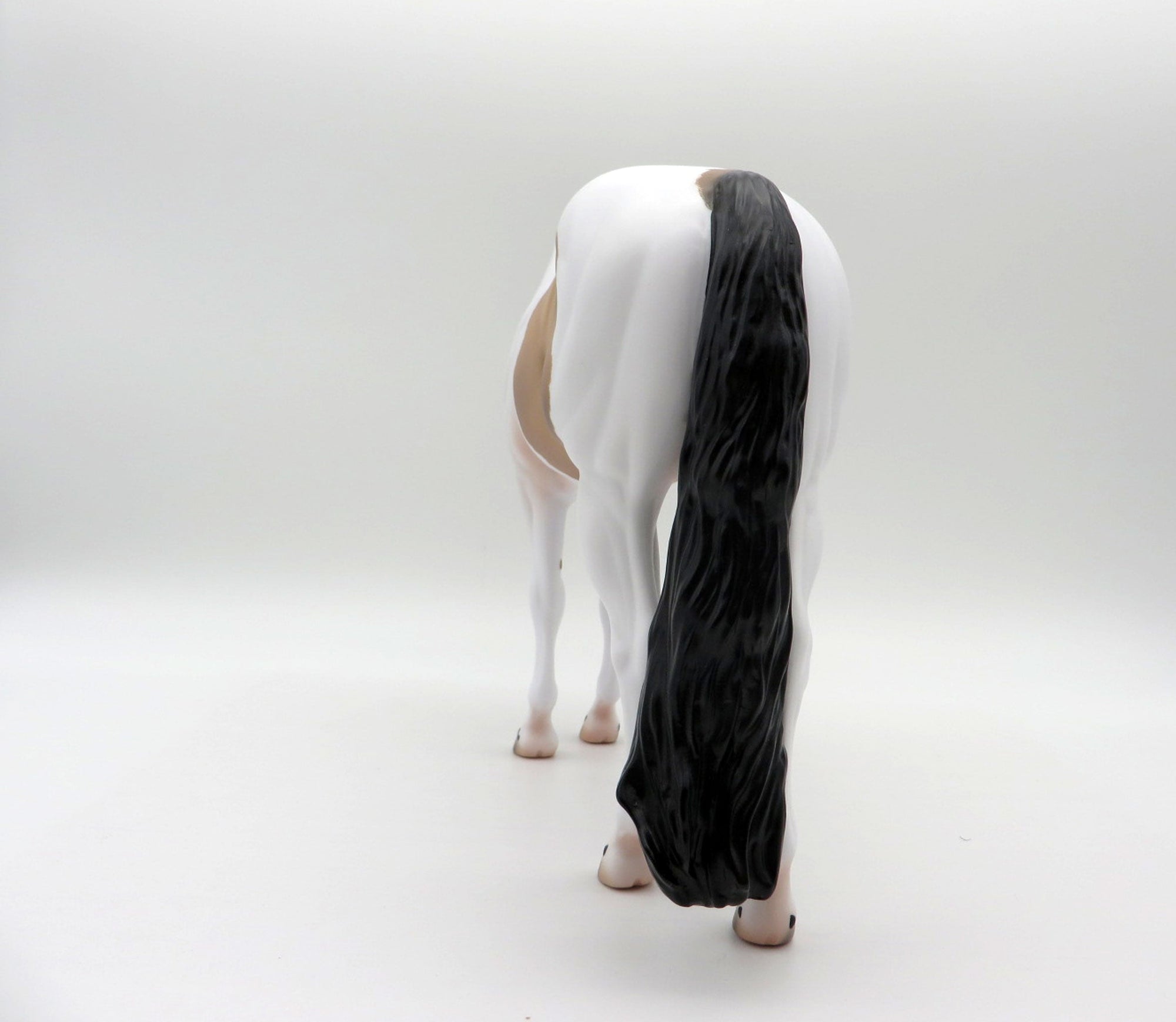 Seuz-OOAL Bay Pinto ISH Painted By Caroline Boydston 5/10/21