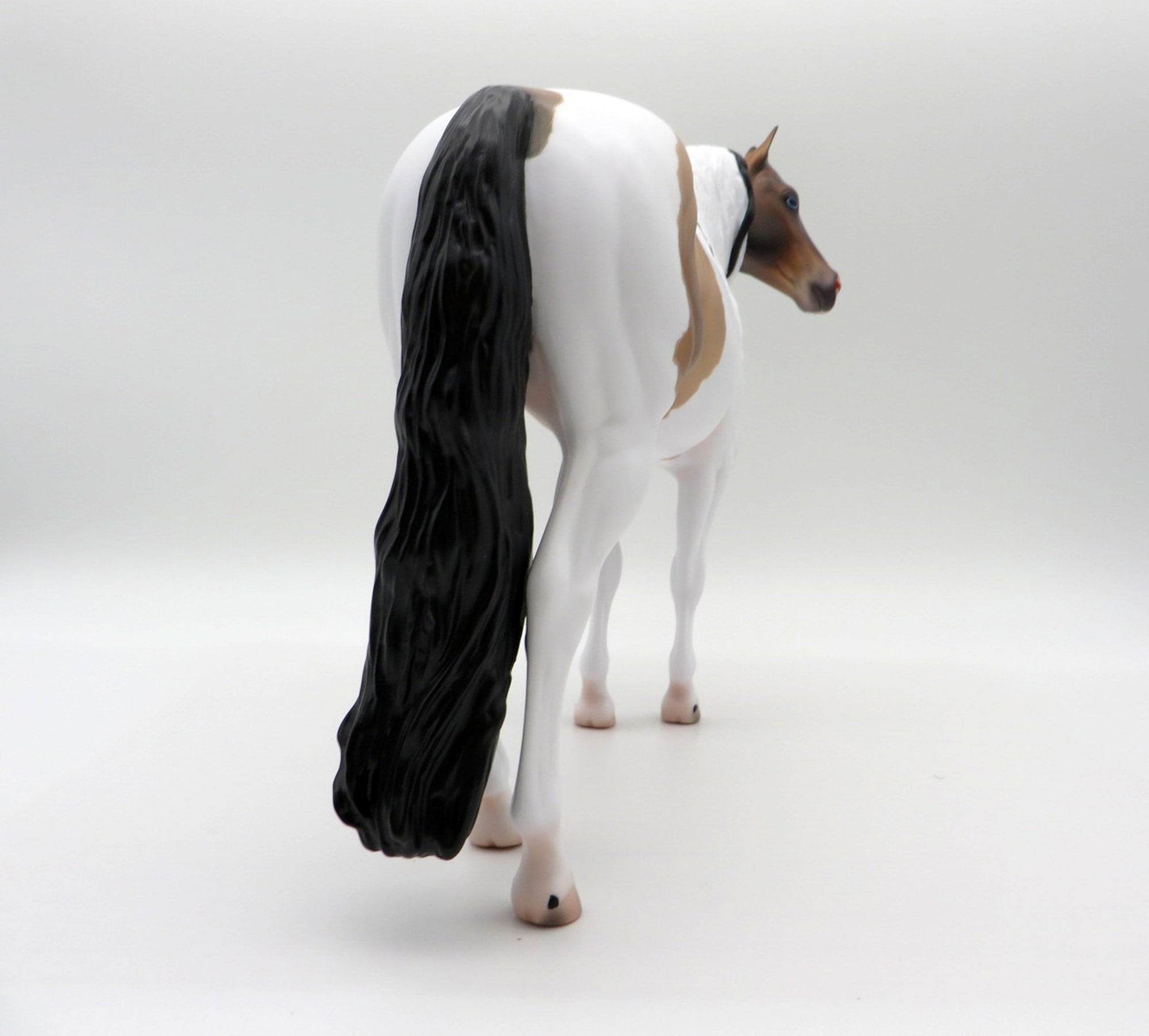 Seuz-OOAL Bay Pinto ISH Painted By Caroline Boydston 5/10/21